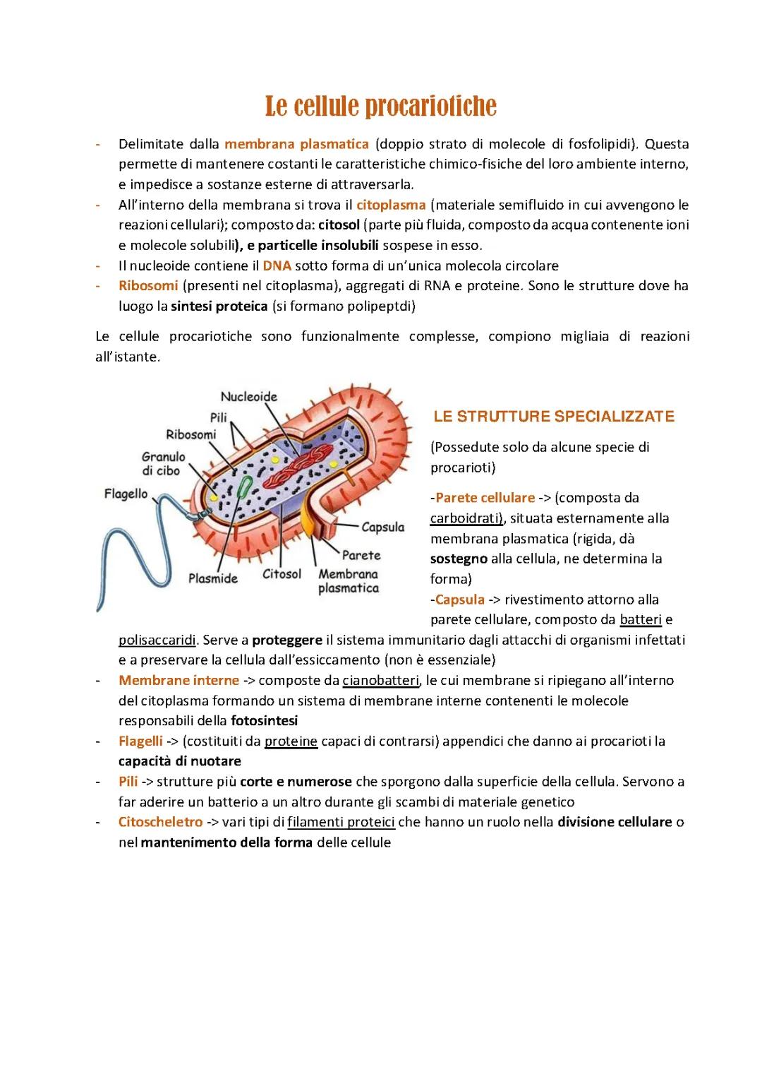 Le cellule procariotiche-biologia
