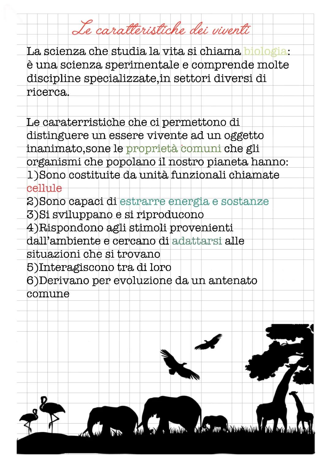 Siamo esseri viventi (e le cellule)