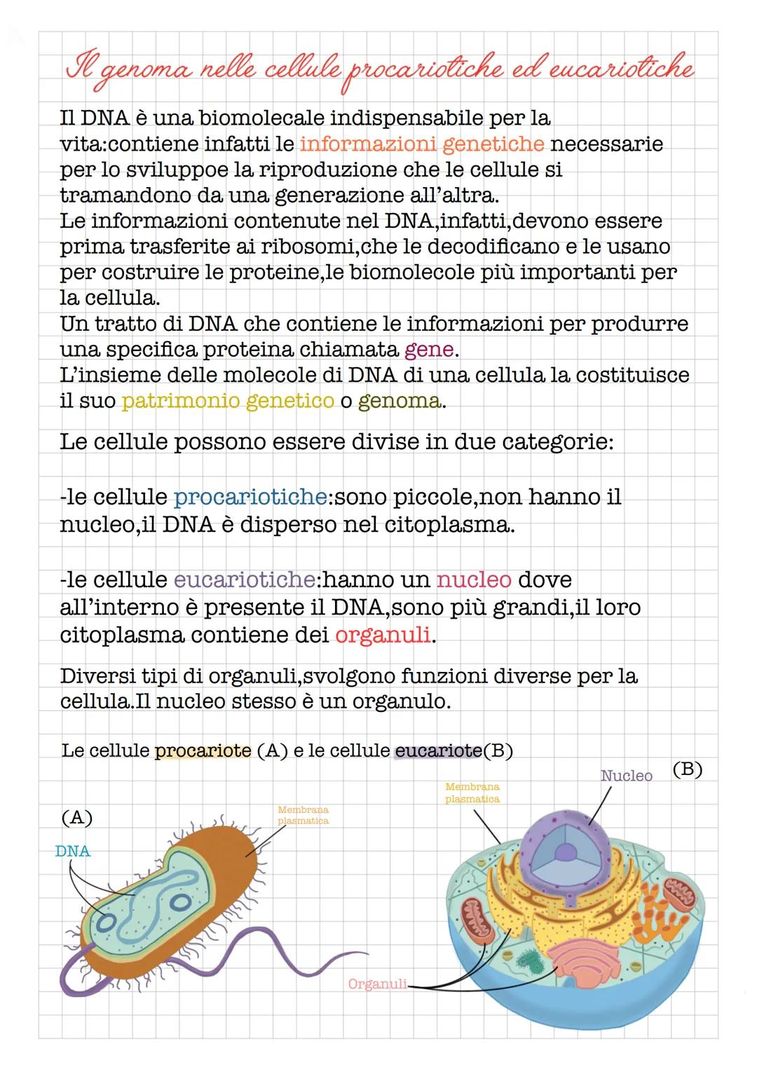 Le
caratteristiche dei viventi
La scienza che studia la vita si chiama biologia:
è una scienza sperimentale e comprende molte
discipline spe