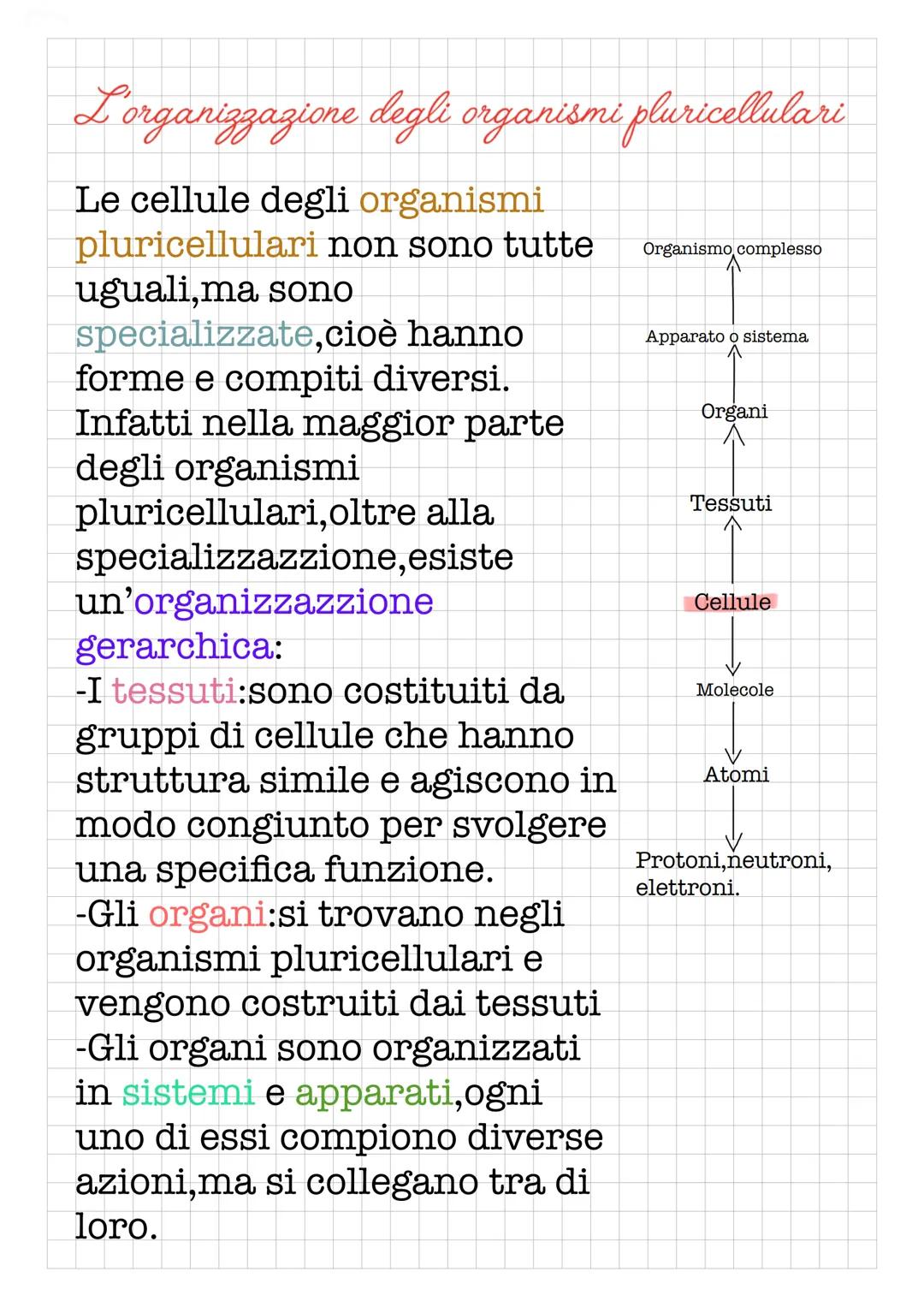 Le
caratteristiche dei viventi
La scienza che studia la vita si chiama biologia:
è una scienza sperimentale e comprende molte
discipline spe
