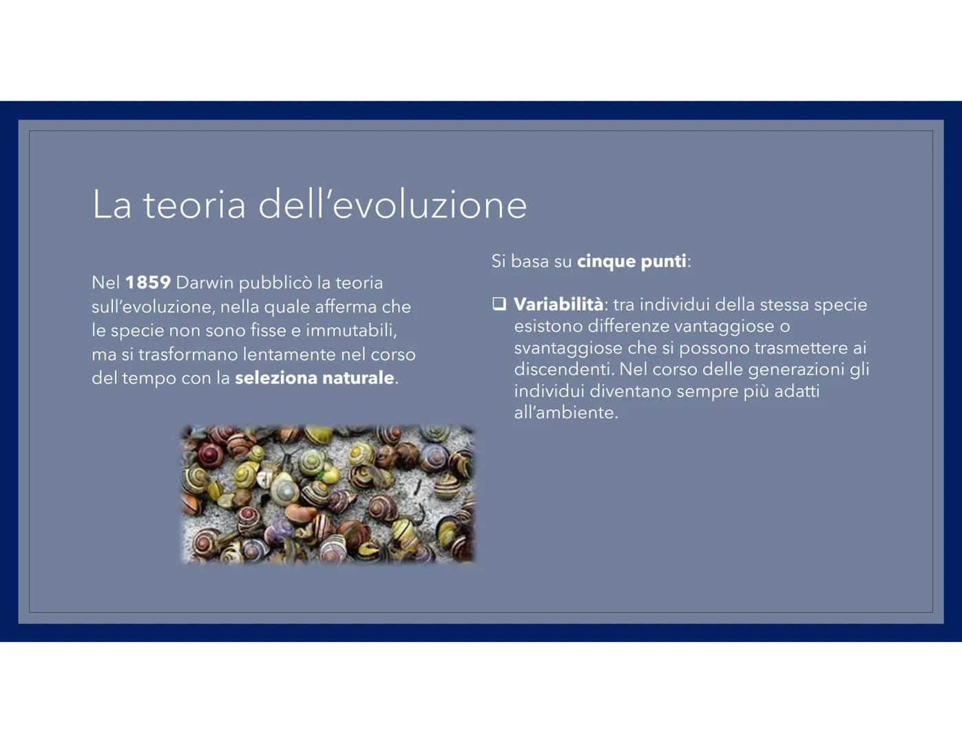 LA TEORIA
DELL'EVOLUZIONE La vita
Charles Darwin nacque a Shrewsbury il 12
febbraio 1809, da una famiglia borghese
e viene avviato agli stud