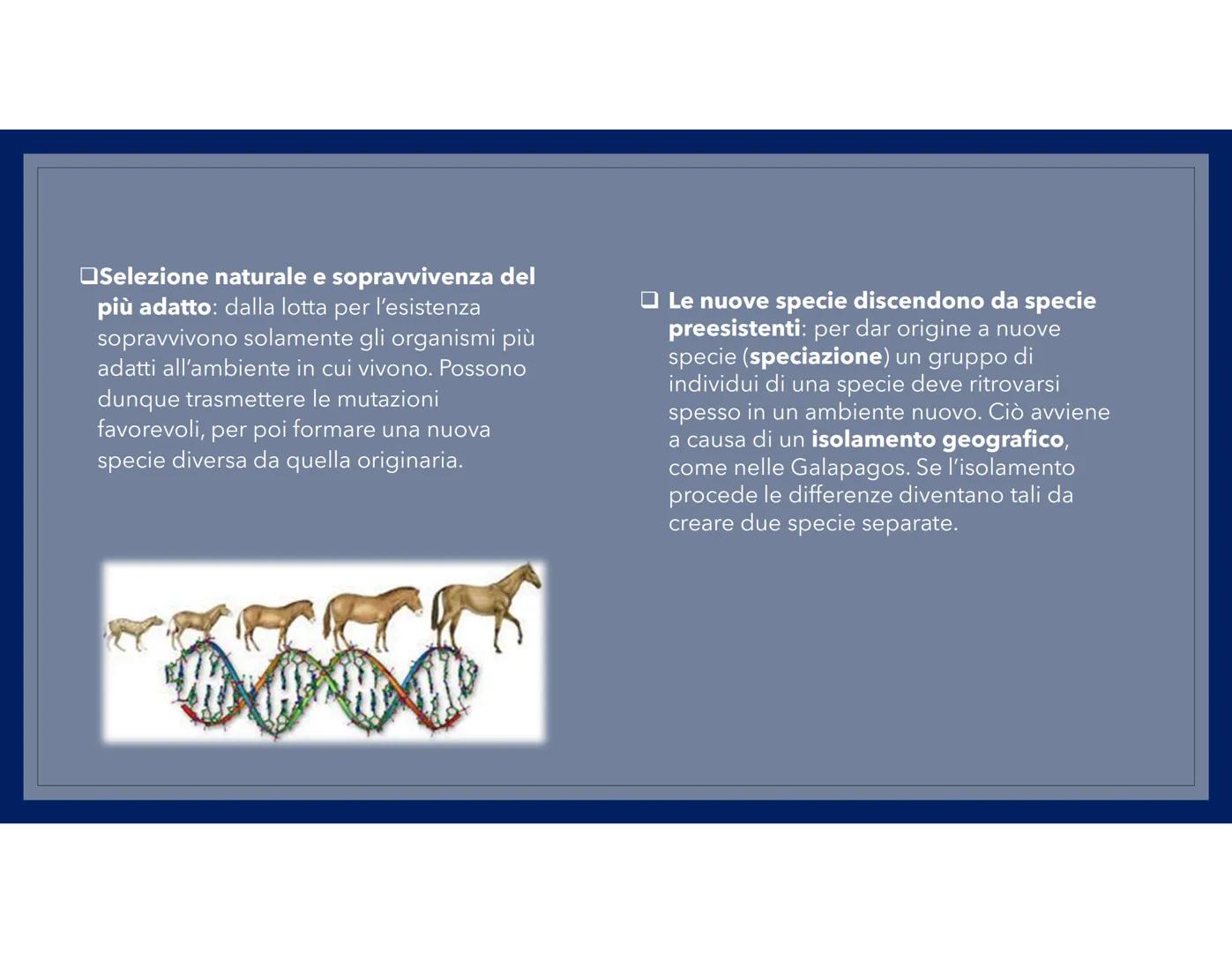 LA TEORIA
DELL'EVOLUZIONE La vita
Charles Darwin nacque a Shrewsbury il 12
febbraio 1809, da una famiglia borghese
e viene avviato agli stud
