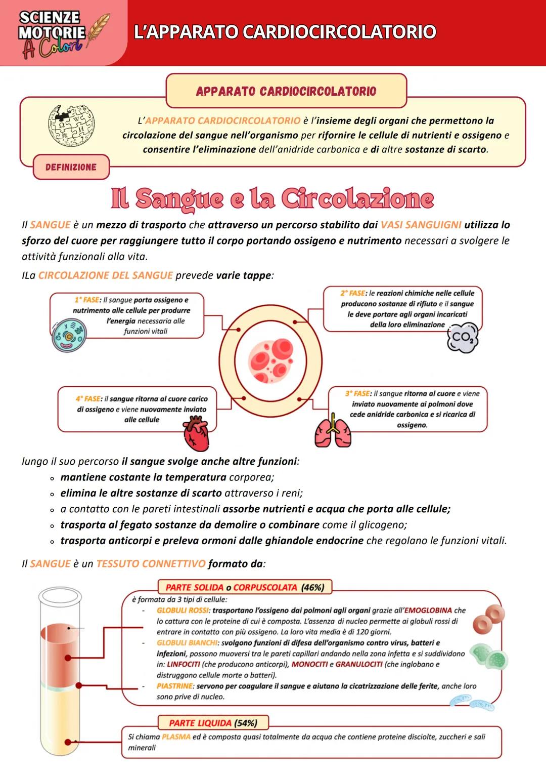 SCIENZE
MOTORIE
A Color
L'APPARATO CARDIOCIRCOLATORIO
APPARATO CARDIOCIRCOLATORIO
L'APPARATO CARDIOCIRCOLATORIO è l'insieme degli organi che