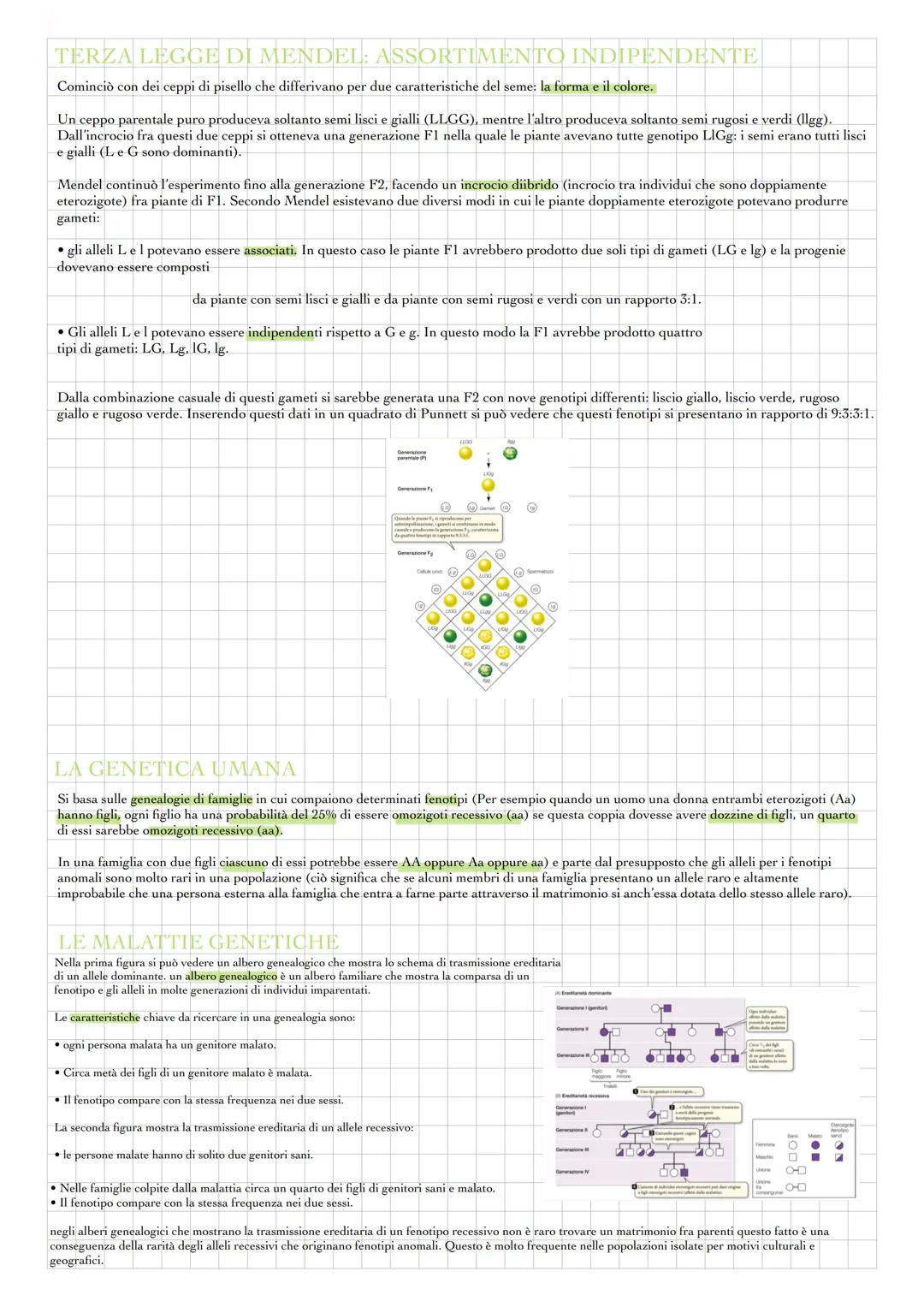 MENDEL
La genetica è lo studio della trasmissione dei caratteri da una generazione all'altra.
Gregor Mendel (1822-1884) era un monaco agosti