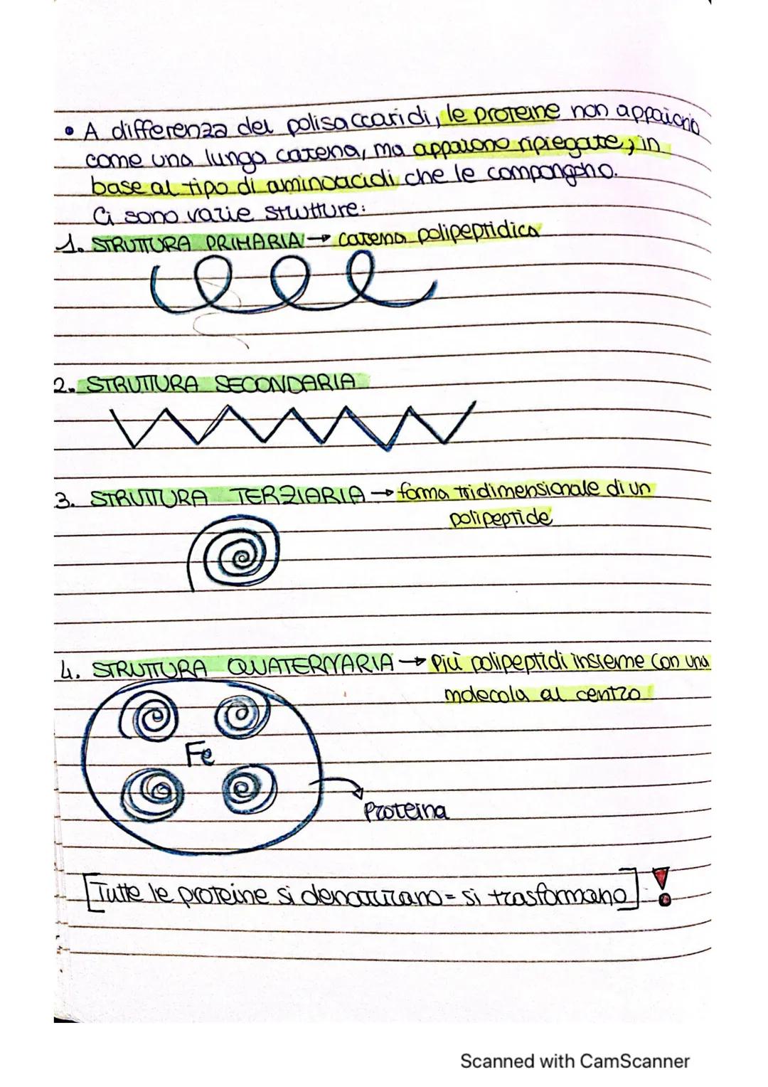 # ~LE MOLE COLE ORGANICHE ~
* MOLECOLE ORGANICHE COMPRSTI CHIMICI FORMATI DA
CARBONIO E UN ALTRO
ELEMENTO
forma 4 legomi
covalenti
è alla