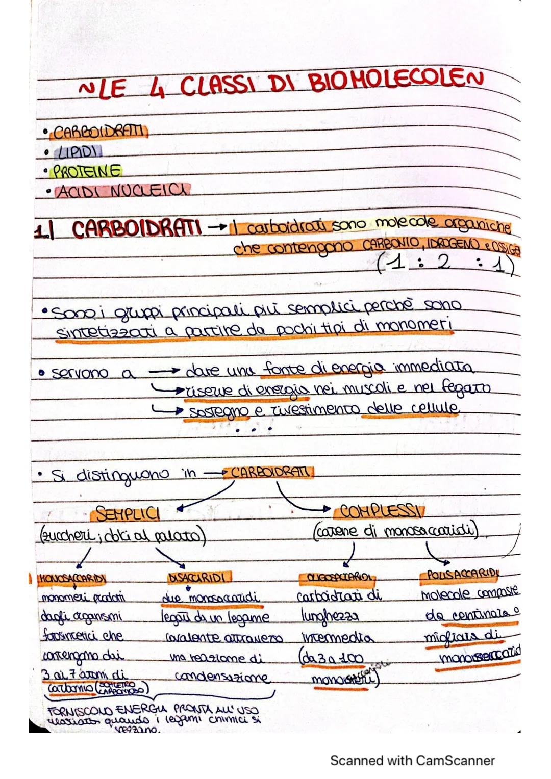 # ~LE MOLE COLE ORGANICHE ~
* MOLECOLE ORGANICHE COMPRSTI CHIMICI FORMATI DA
CARBONIO E UN ALTRO
ELEMENTO
forma 4 legomi
covalenti
è alla