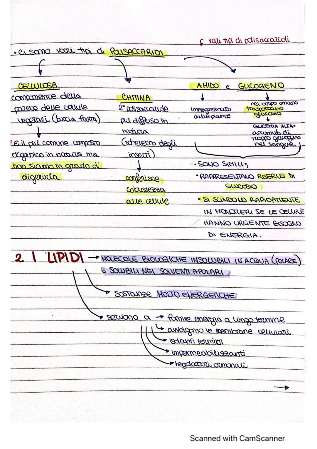 # ~LE MOLE COLE ORGANICHE ~
* MOLECOLE ORGANICHE COMPRSTI CHIMICI FORMATI DA
CARBONIO E UN ALTRO
ELEMENTO
forma 4 legomi
covalenti
è alla
