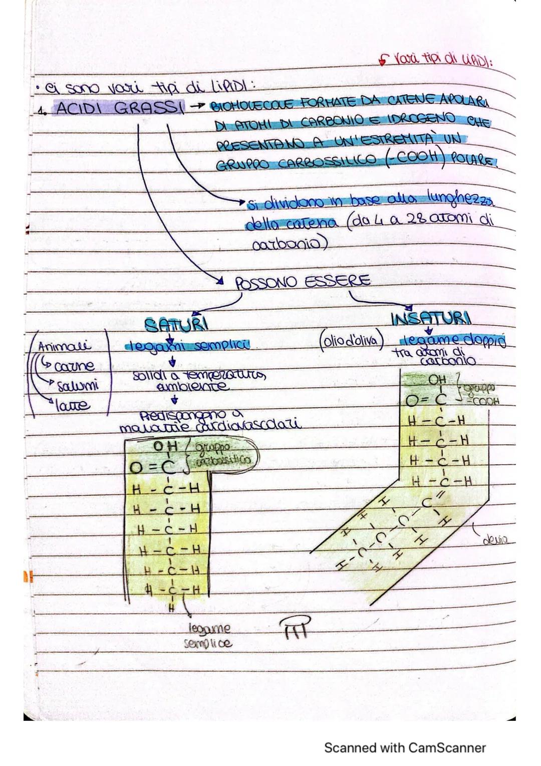 # ~LE MOLE COLE ORGANICHE ~
* MOLECOLE ORGANICHE COMPRSTI CHIMICI FORMATI DA
CARBONIO E UN ALTRO
ELEMENTO
forma 4 legomi
covalenti
è alla