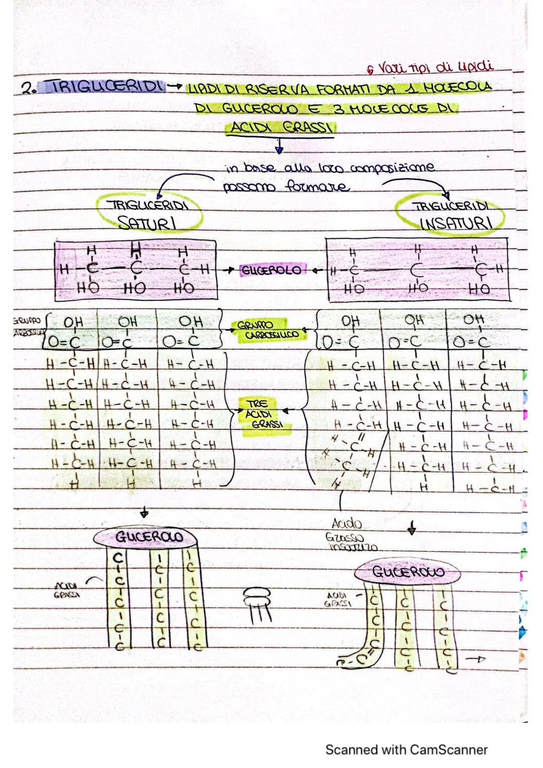 # ~LE MOLE COLE ORGANICHE ~
* MOLECOLE ORGANICHE COMPRSTI CHIMICI FORMATI DA
CARBONIO E UN ALTRO
ELEMENTO
forma 4 legomi
covalenti
è alla