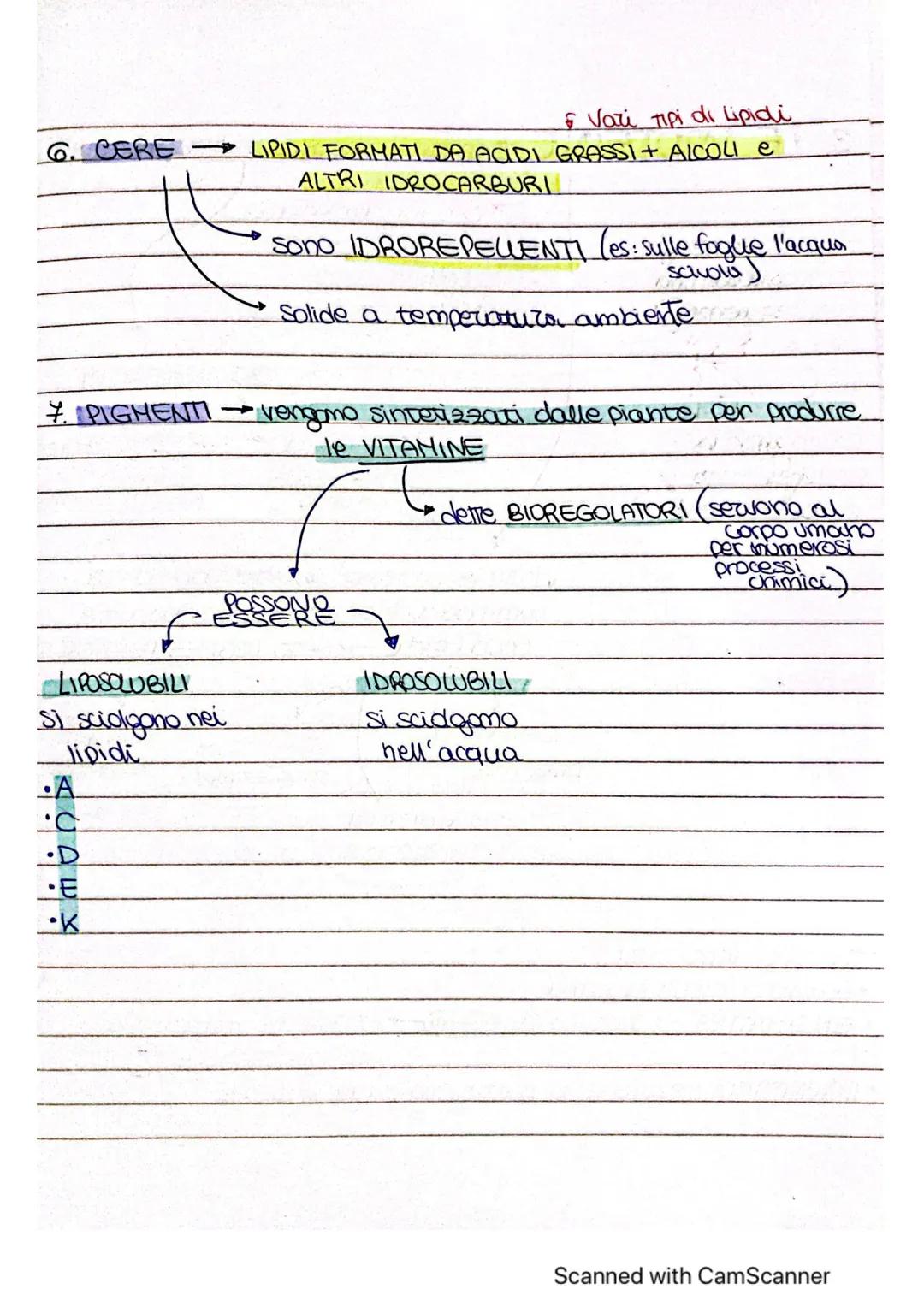 # ~LE MOLE COLE ORGANICHE ~
* MOLECOLE ORGANICHE COMPRSTI CHIMICI FORMATI DA
CARBONIO E UN ALTRO
ELEMENTO
forma 4 legomi
covalenti
è alla