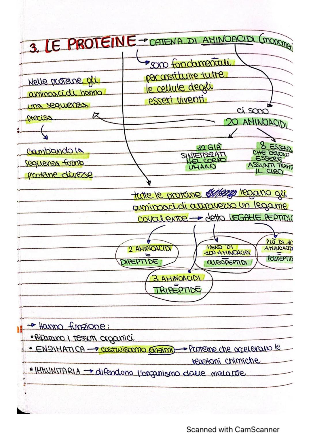 # ~LE MOLE COLE ORGANICHE ~
* MOLECOLE ORGANICHE COMPRSTI CHIMICI FORMATI DA
CARBONIO E UN ALTRO
ELEMENTO
forma 4 legomi
covalenti
è alla