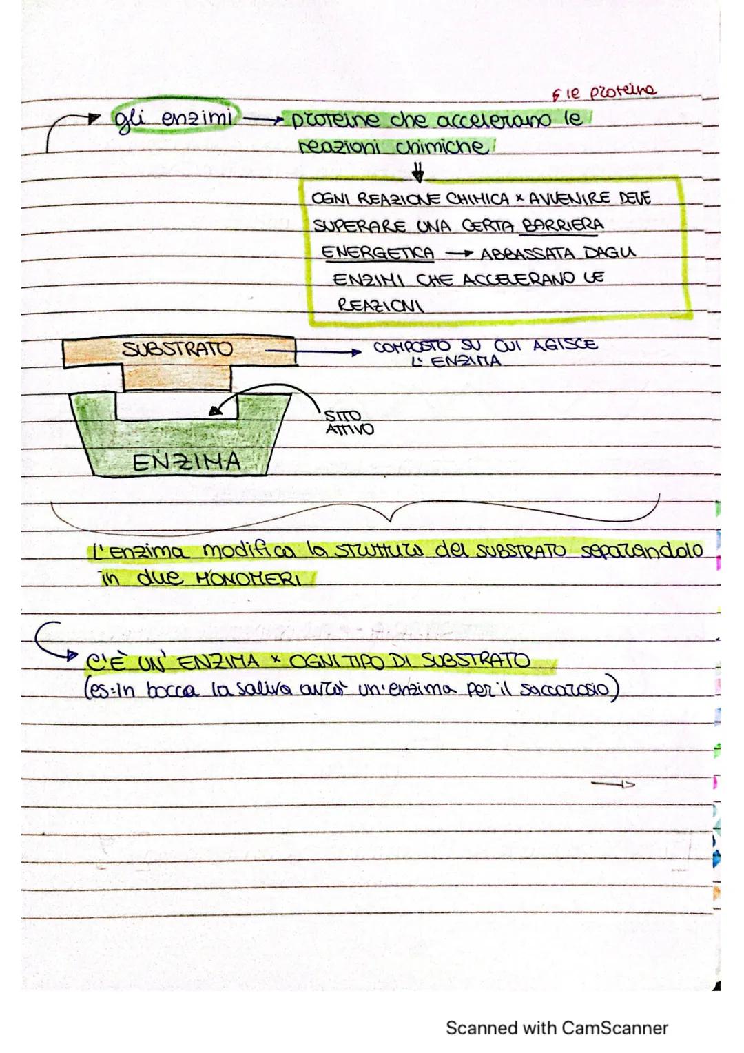 # ~LE MOLE COLE ORGANICHE ~
* MOLECOLE ORGANICHE COMPRSTI CHIMICI FORMATI DA
CARBONIO E UN ALTRO
ELEMENTO
forma 4 legomi
covalenti
è alla