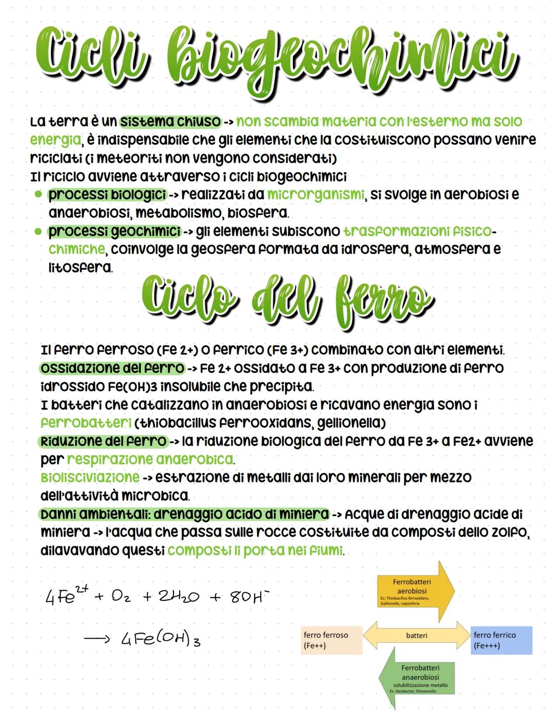 Cicli biogeochimici, ciclo del ferro, carbonio, azoto, ossigeno, zolfo, fosforo