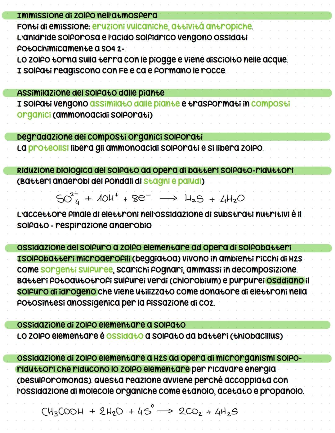 # Cicli biogeochimici
La terra รจ un sistema chiuso -> non scambia materia con l'esterno ma solo
energia, รจ indispensabile che gli elementi