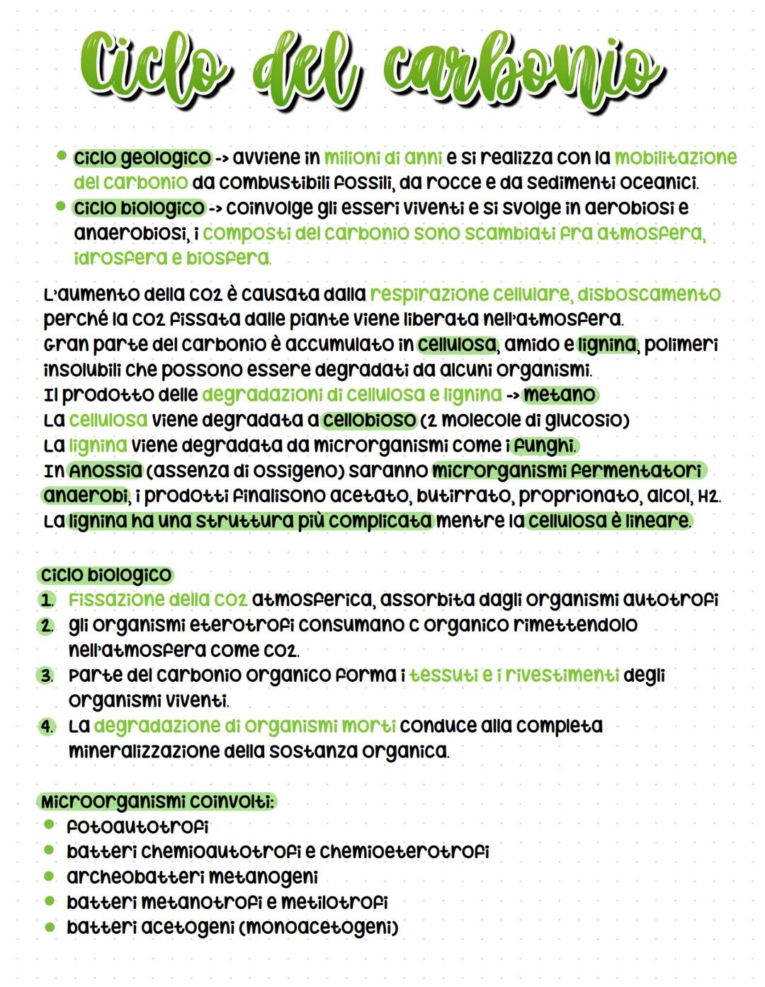 # Cicli biogeochimici
La terra รจ un sistema chiuso -> non scambia materia con l'esterno ma solo
energia, รจ indispensabile che gli elementi