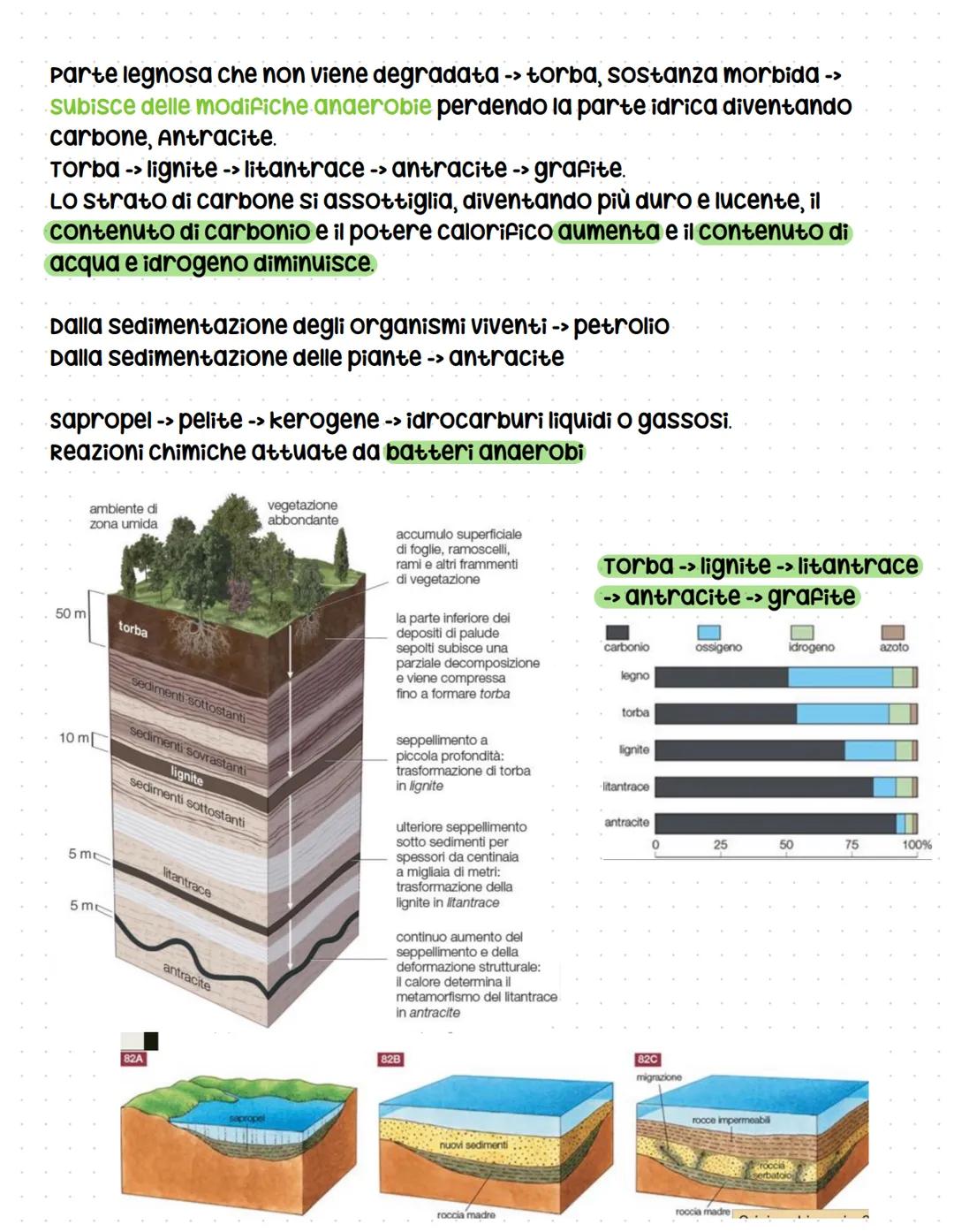 # Cicli biogeochimici
La terra รจ un sistema chiuso -> non scambia materia con l'esterno ma solo
energia, รจ indispensabile che gli elementi