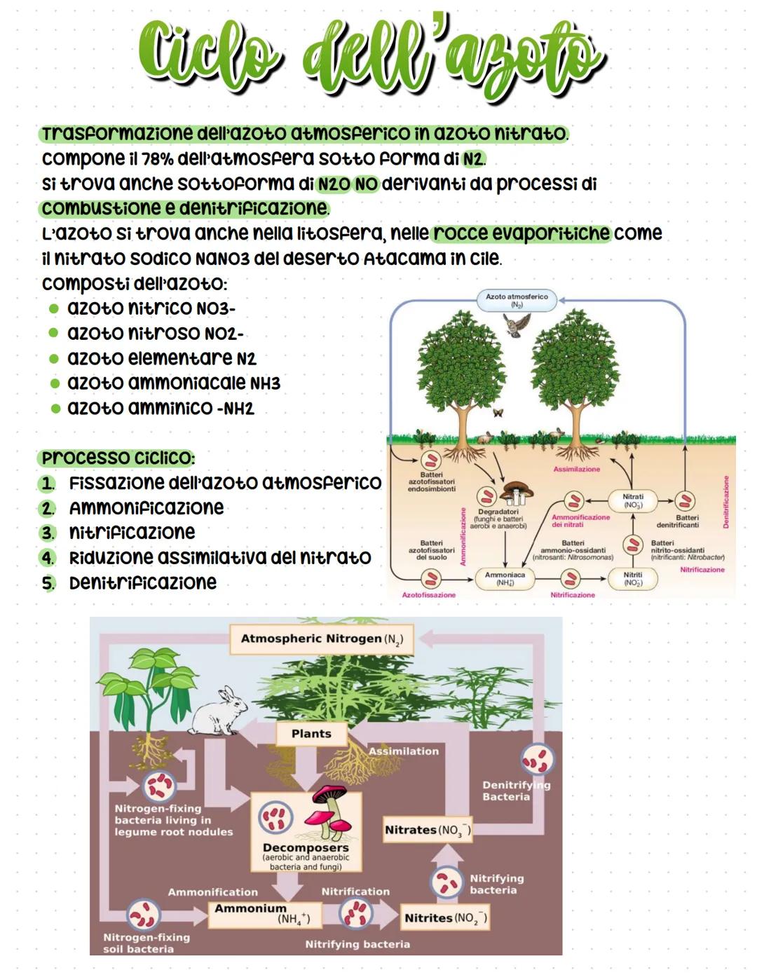 # Cicli biogeochimici
La terra รจ un sistema chiuso -> non scambia materia con l'esterno ma solo
energia, รจ indispensabile che gli elementi