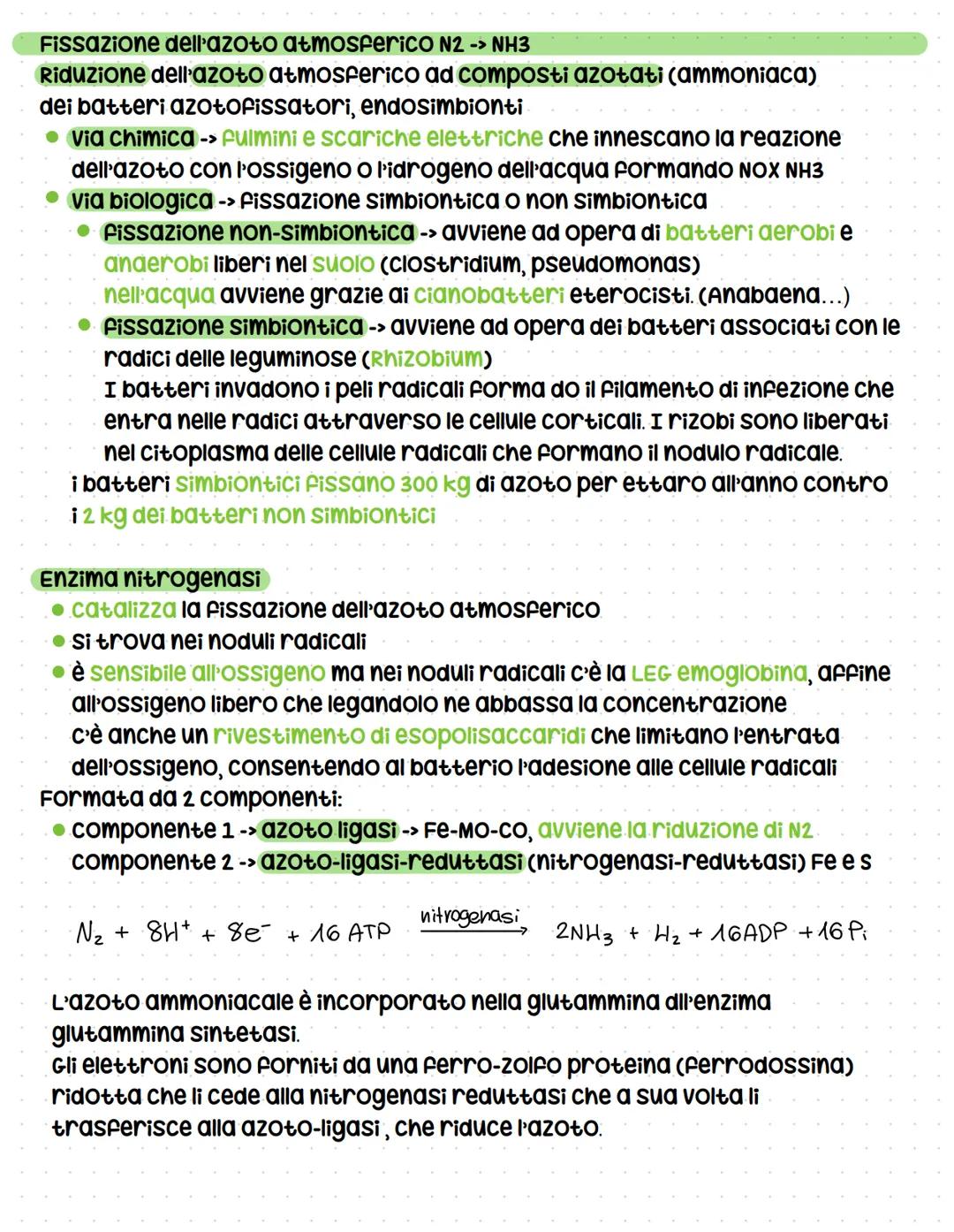 # Cicli biogeochimici
La terra รจ un sistema chiuso -> non scambia materia con l'esterno ma solo
energia, รจ indispensabile che gli elementi