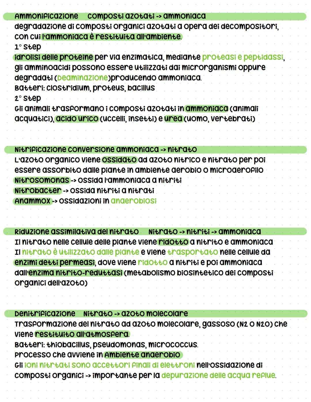 # Cicli biogeochimici
La terra รจ un sistema chiuso -> non scambia materia con l'esterno ma solo
energia, รจ indispensabile che gli elementi