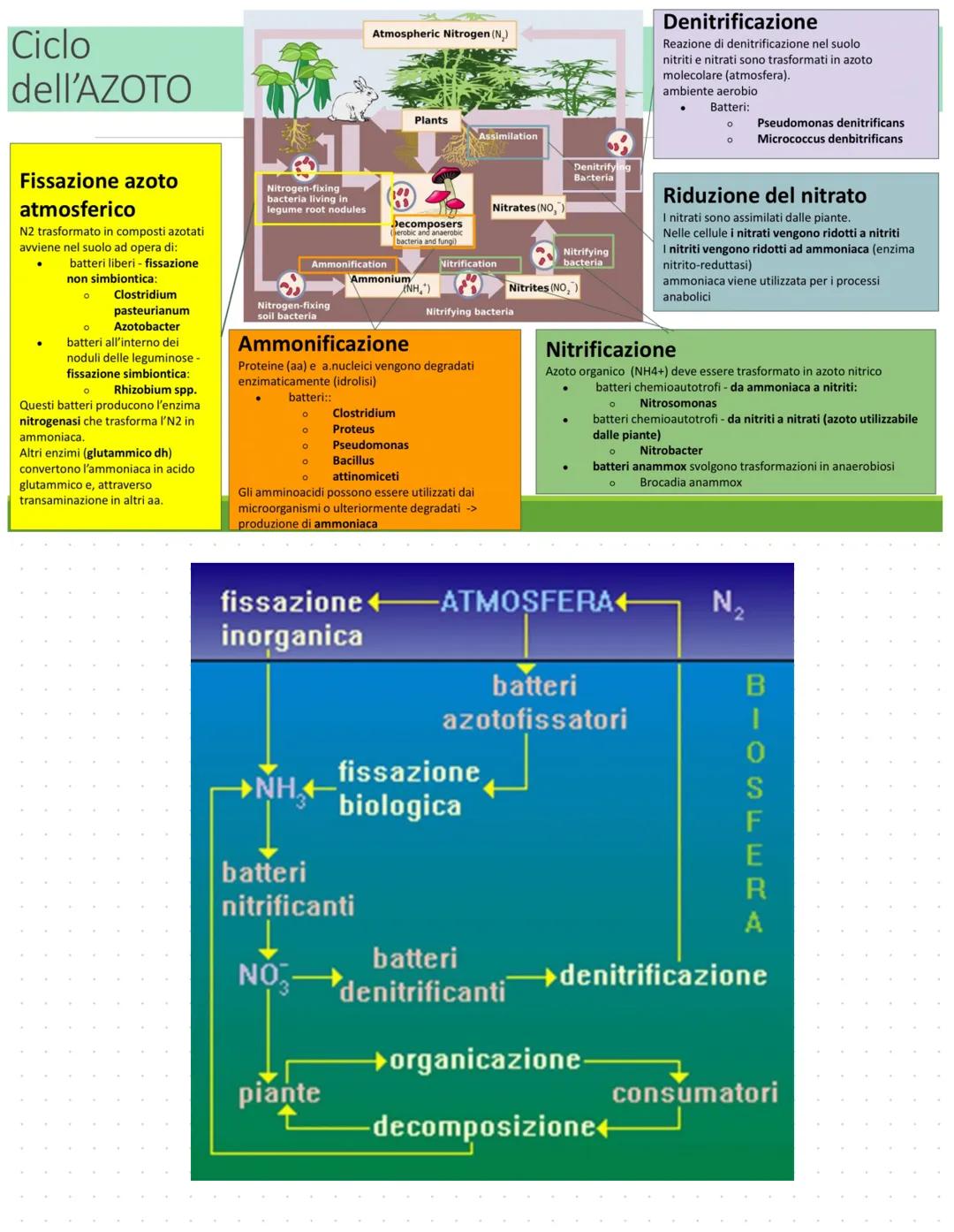 # Cicli biogeochimici
La terra รจ un sistema chiuso -> non scambia materia con l'esterno ma solo
energia, รจ indispensabile che gli elementi