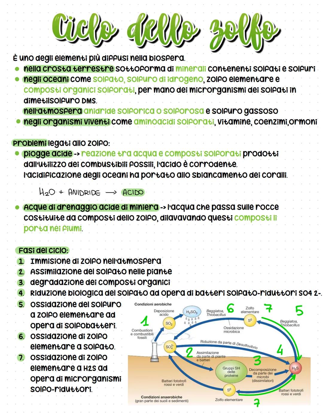 # Cicli biogeochimici
La terra รจ un sistema chiuso -> non scambia materia con l'esterno ma solo
energia, รจ indispensabile che gli elementi