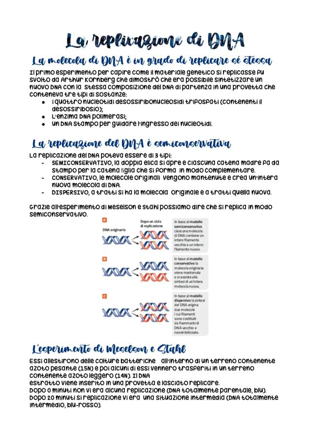 Know La replicazione del DNA thumbnail