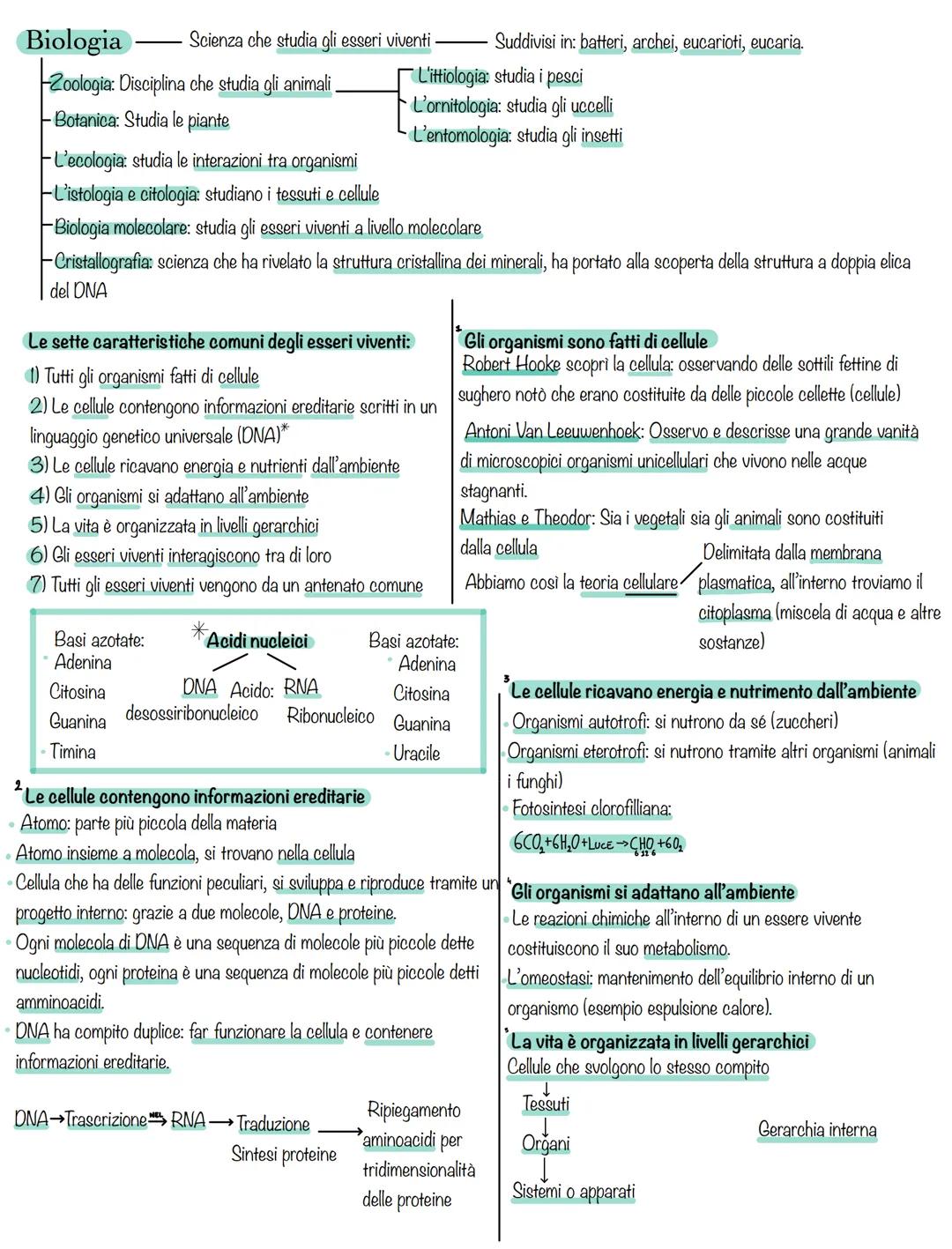 Biologia Scienza che studia gli esseri viventi
-Zoologia: Disciplina che studia gli animali .
Botanica: Studia le piante
L'ecologia: studia