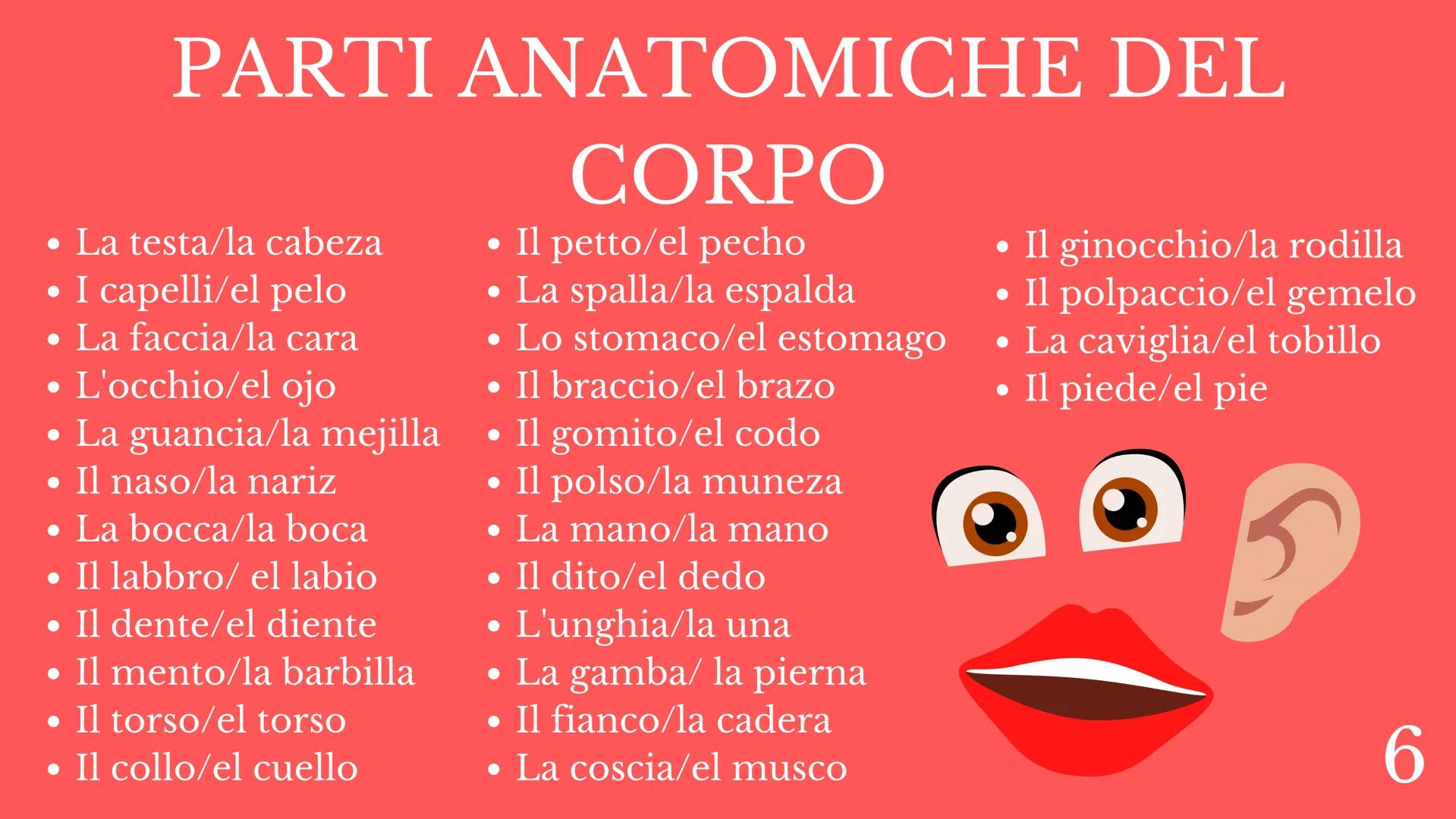 SPAGNOLO
PROGRAMMA
DEL CORSO
PROFESSORE INDICE
1
-ALFABETO.
2 -SALUTI FORMALI/INFORMALI.
3 -GIORNI DELLA SETTIMANA.
3.1 -MESI DELL'ANNO.
4 -