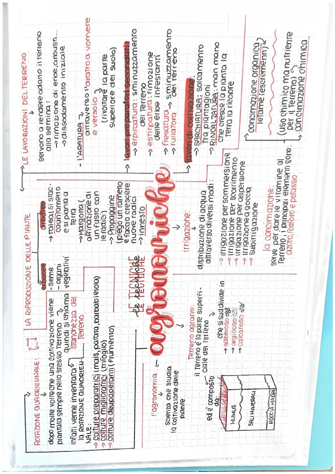 infatti venne invenrara
la ROTAZIONE QUADRIEN-
ROTAZIONE QUADRIENNALE:
↓
dopo molte volte che una coltivazione viene
piantara sempre nello s