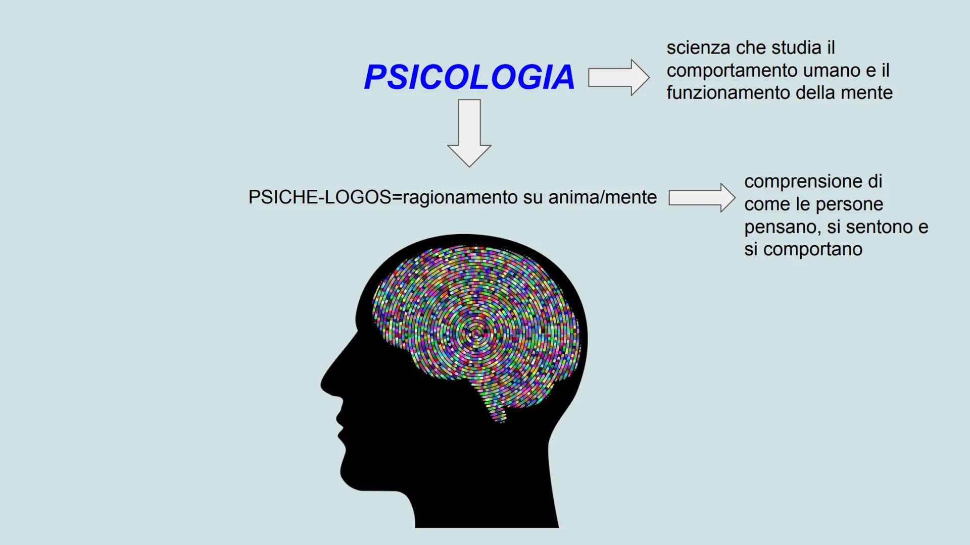 Skinner
comportamentismo
mente
apprendimento
Pavlov
metamemoria
condizionamento
stimolo
risposta
PSICOLOGIA
Freud
logos
personal