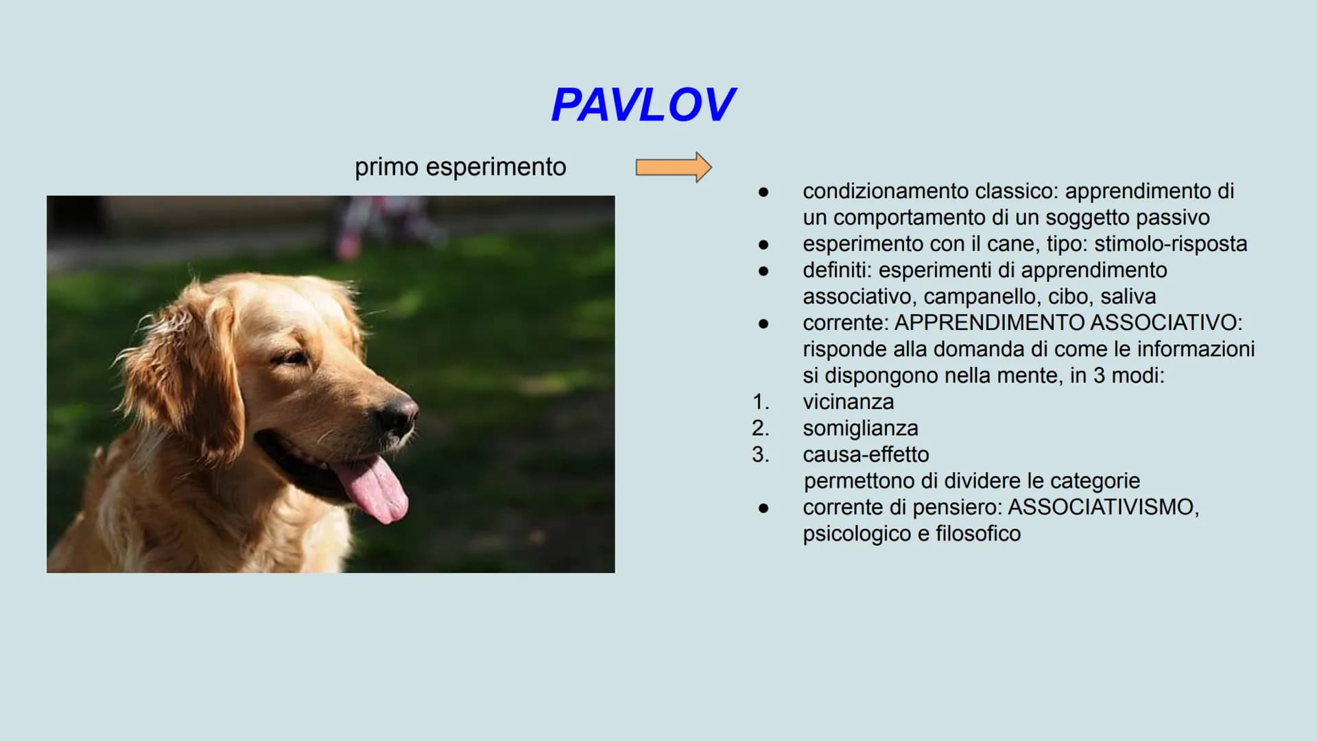 Skinner
comportamentismo
mente
apprendimento
Pavlov
metamemoria
condizionamento
stimolo
risposta
PSICOLOGIA
Freud
logos
personal