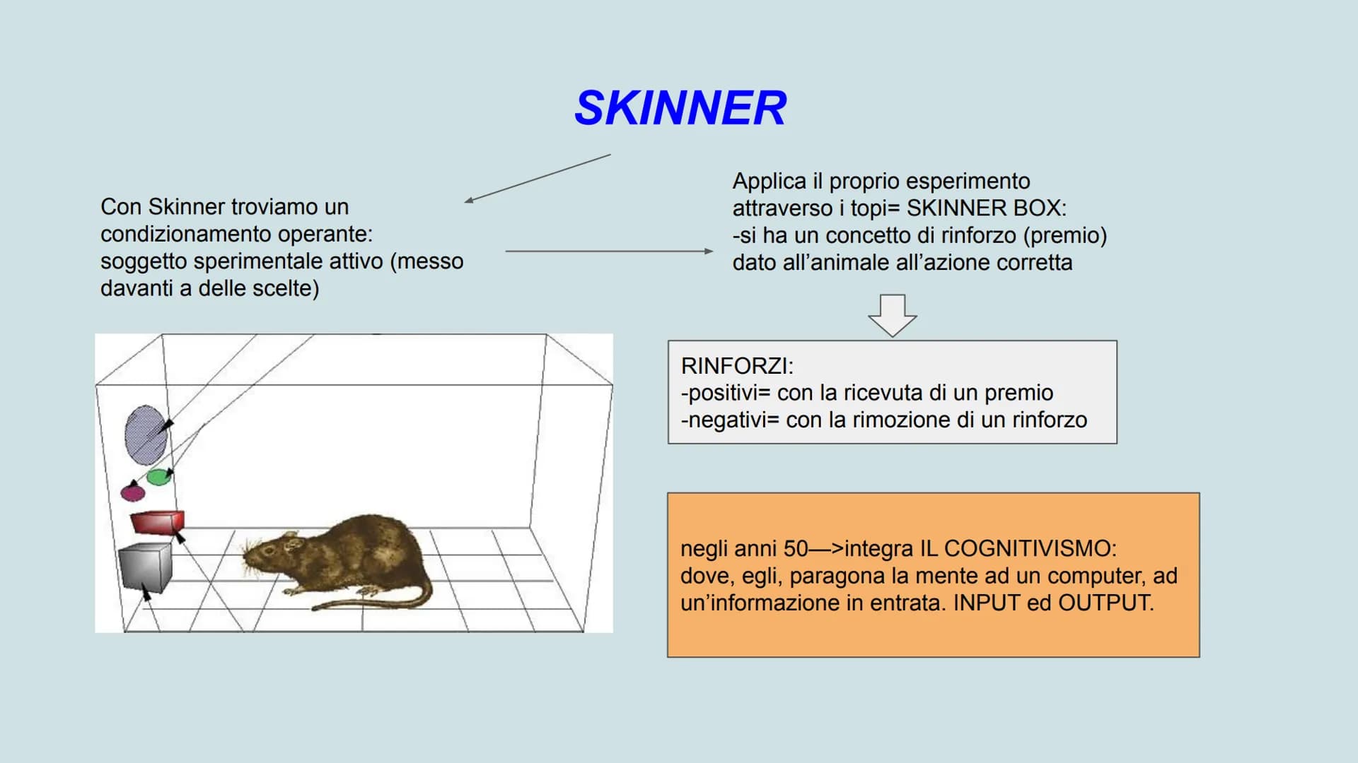 Skinner
comportamentismo
mente
apprendimento
Pavlov
metamemoria
condizionamento
stimolo
risposta
PSICOLOGIA
Freud
logos
personal