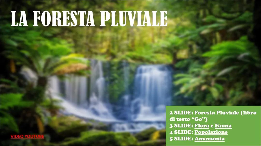 Scopri la Foresta Pluviale: Flora, Fauna e Comunità