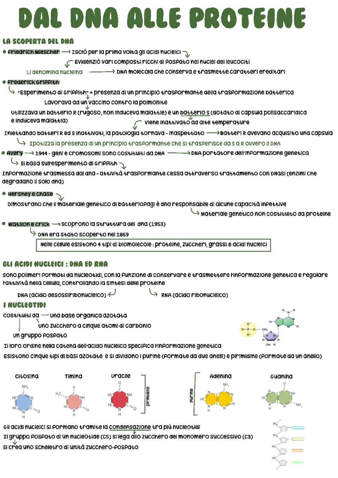 Dal dna alle proteine