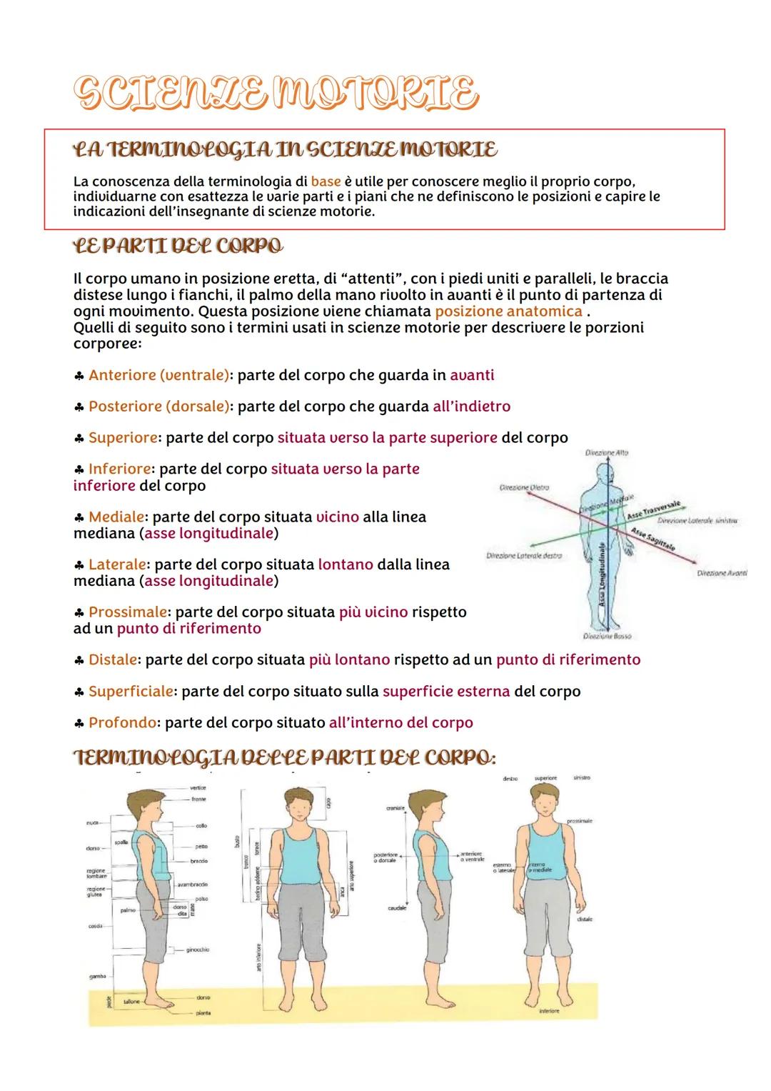 SCIENZE MOTORTE
LA TERMINOLOGIA IN SCIENZE MOTORIE
La conoscenza della terminologia di base è utile per conoscere meglio il proprio corpo,
i