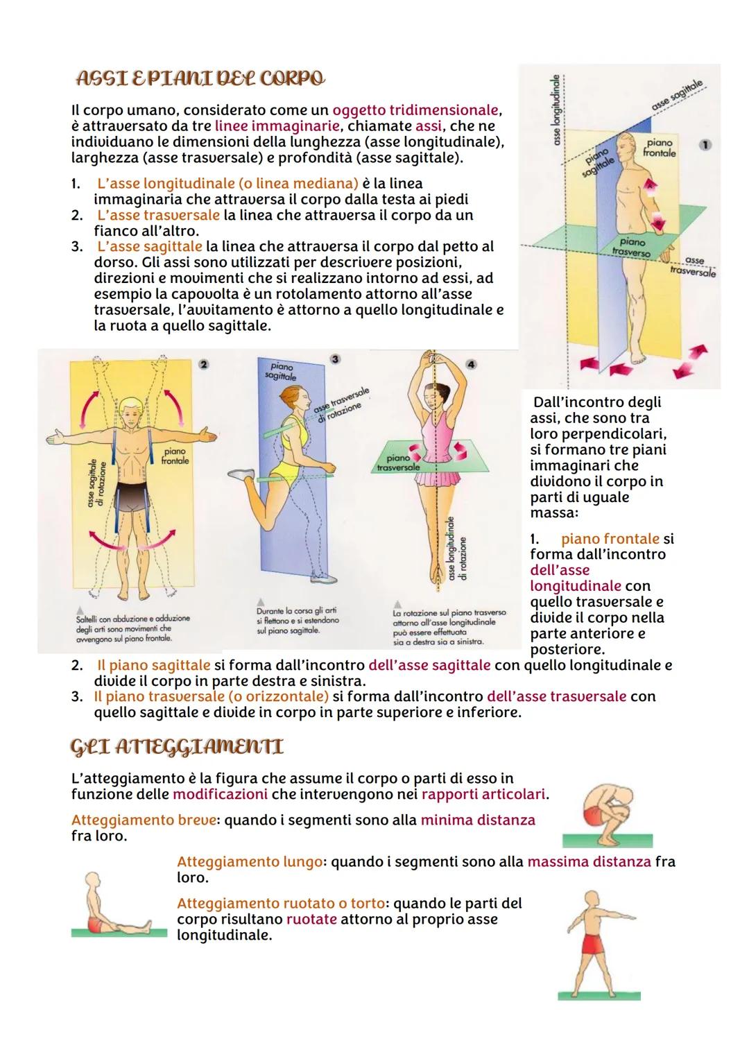 SCIENZE MOTORTE
LA TERMINOLOGIA IN SCIENZE MOTORIE
La conoscenza della terminologia di base è utile per conoscere meglio il proprio corpo,
i
