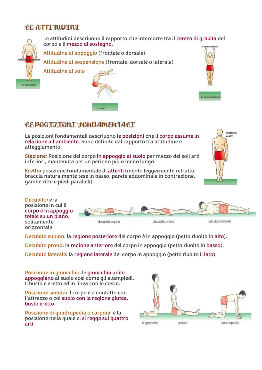 SCIENZE MOTORTE
LA TERMINOLOGIA IN SCIENZE MOTORIE
La conoscenza della terminologia di base è utile per conoscere meglio il proprio corpo,
i