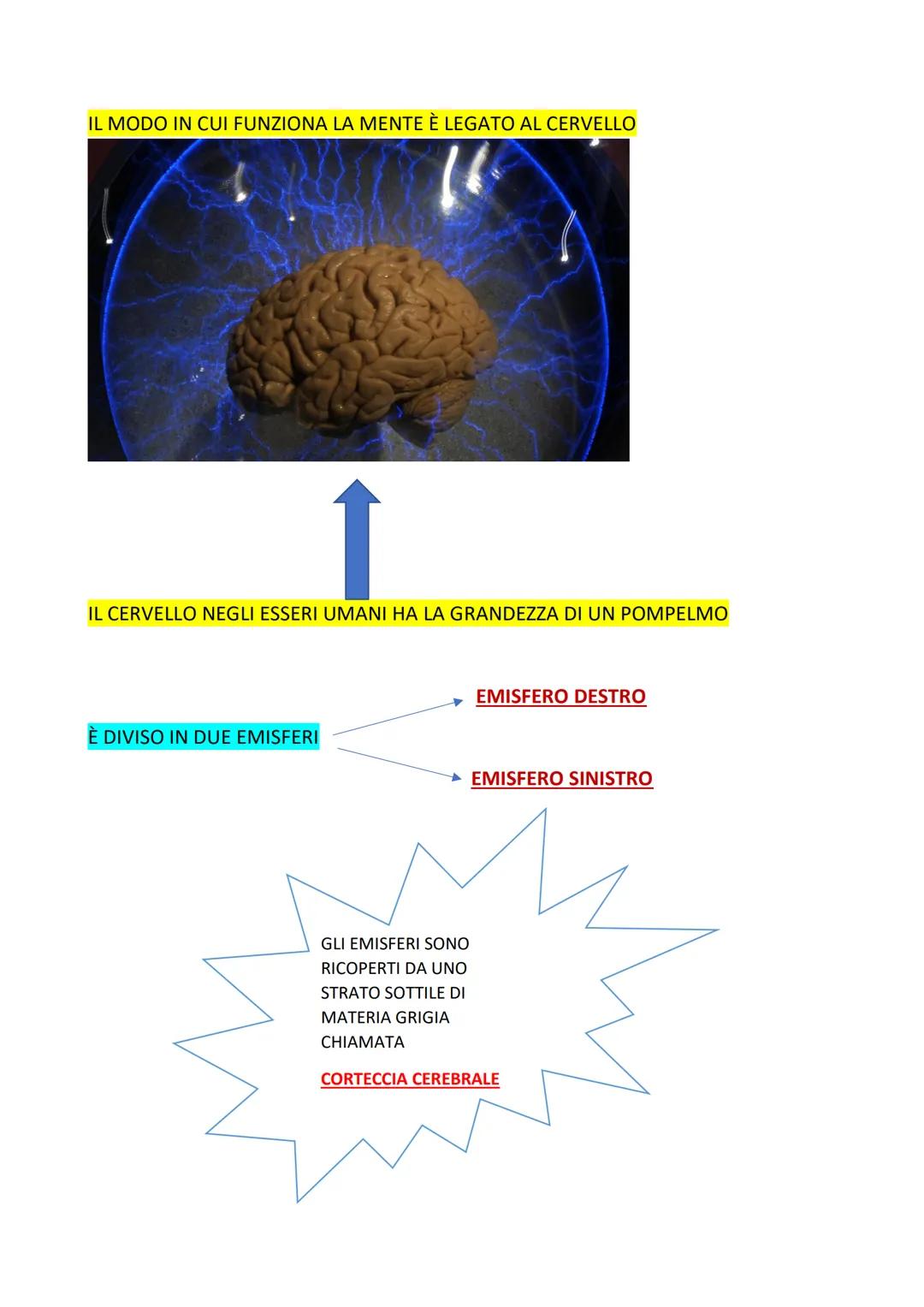 Le scienze umane
sono
umana
Le Scienze
Umane
1111
PSICOLOGIA
PEDAGOGIA
ANTROPOLOGIA
SOCIOLOGIA
PSICOLOGIA: scienza che studia la mente e il