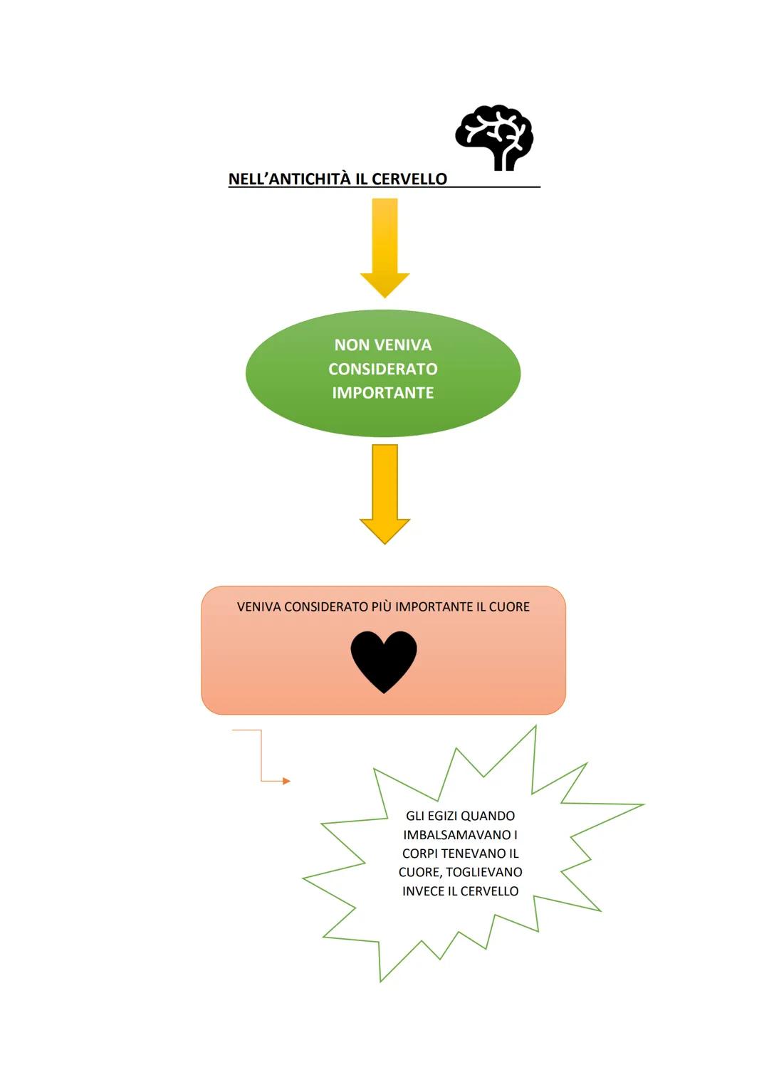 Le scienze umane
sono
umana
Le Scienze
Umane
1111
PSICOLOGIA
PEDAGOGIA
ANTROPOLOGIA
SOCIOLOGIA
PSICOLOGIA: scienza che studia la mente e il