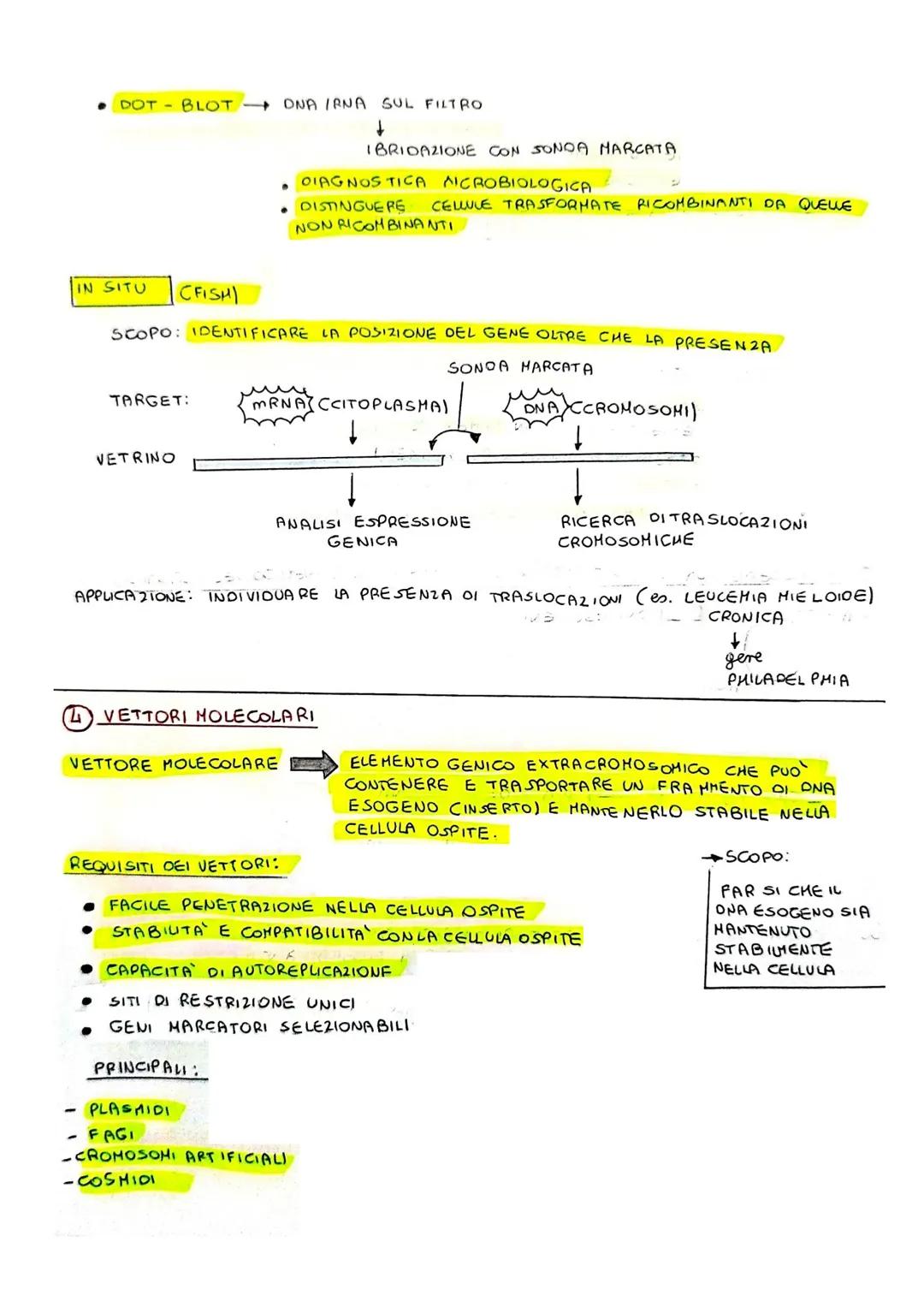 COME ISOLARE UN GENE OI INTERESSE
CONE OTTENERE UN GENE DI INTERESSE:
1. DIRETTAMENTE DALLE CELLULE CHE LO POSSIEDONO
BIOTECNOLOGIE
- GRAZIE