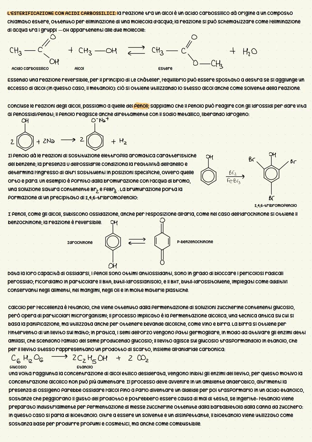 GLI ALCOLI E I FENOLI: gli alcoli sono caratterizzati dalla presenza del gruppo funzionale OH (OSSidrile), tipico dei fenoli.
L'Ossidrile fa