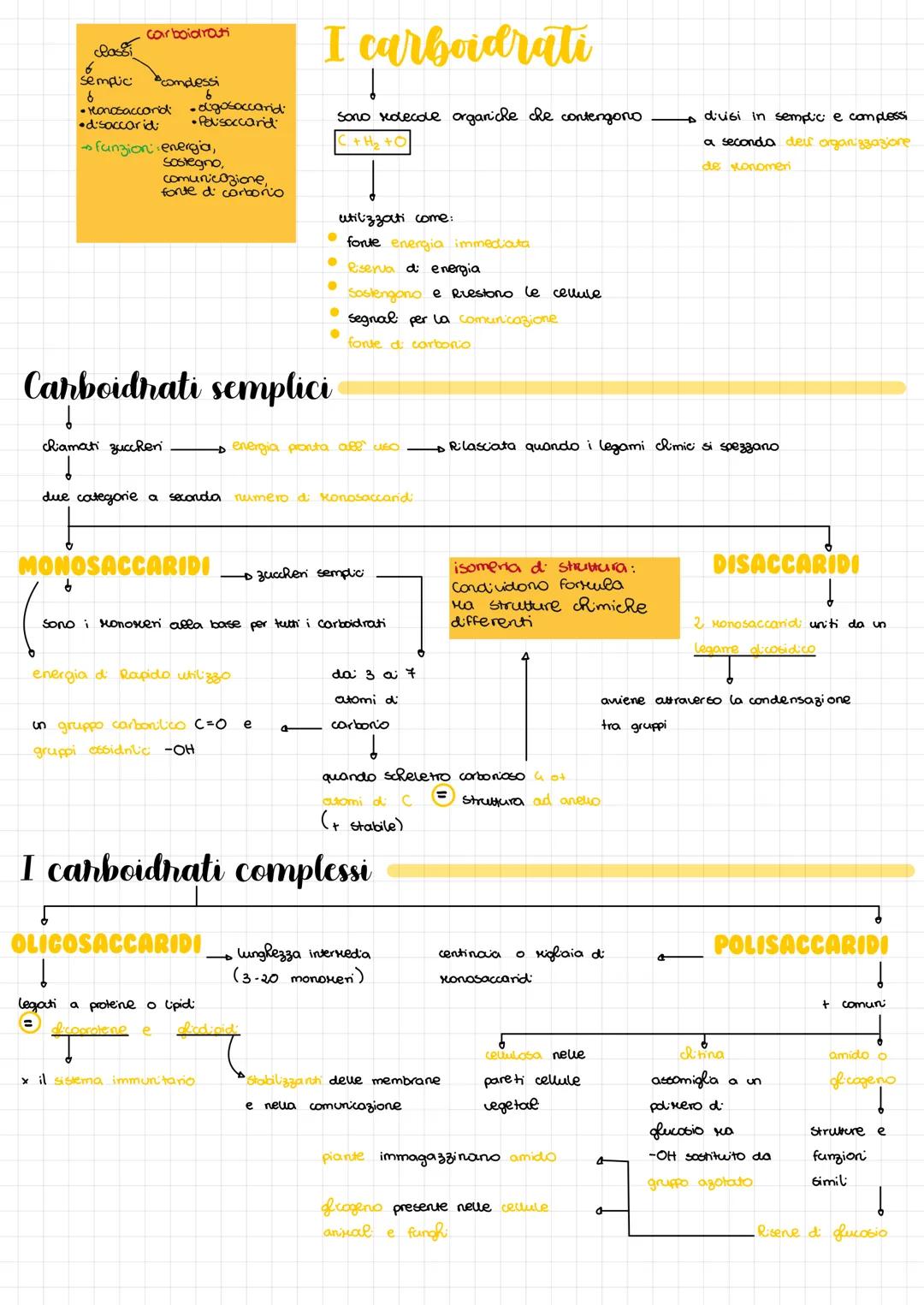 Molecole organiche:
Composti chimici che
Contengono carbono
e drogeno
●
composti organic caratteristic
esseri viventi: Biondecde
●
Monomehi