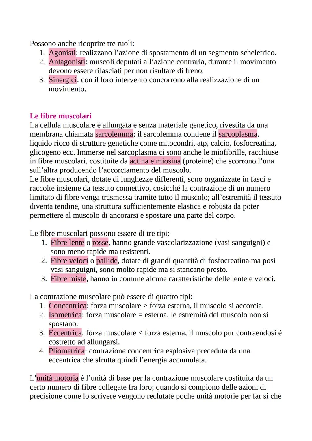 # Il sistema muscolare
Il sistema muscolare รจ tutto l'insieme dei muscoli del corpo, i quali tramite la
loro capacitร di contrarsi producon