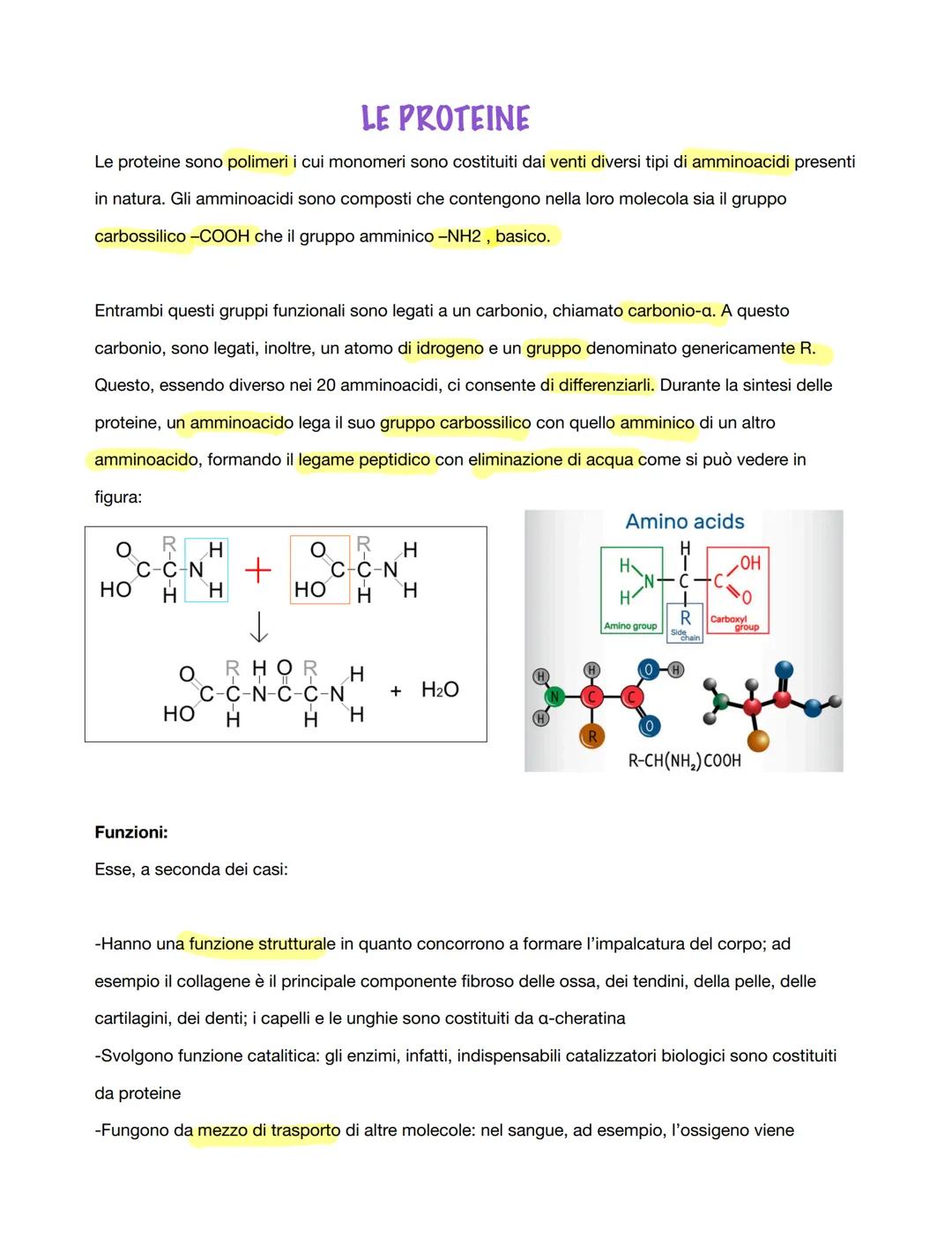 LE PROTEINE
Le proteine sono polimeri i cui monomeri sono costituiti dai venti diversi tipi di amminoacidi presenti
in natura. Gli amminoaci