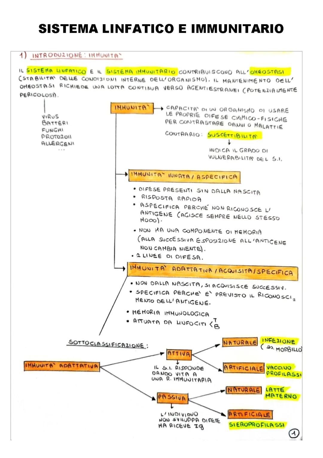 SISTEMA LINFATICO E IMMUNITARIO (SCHEMA)