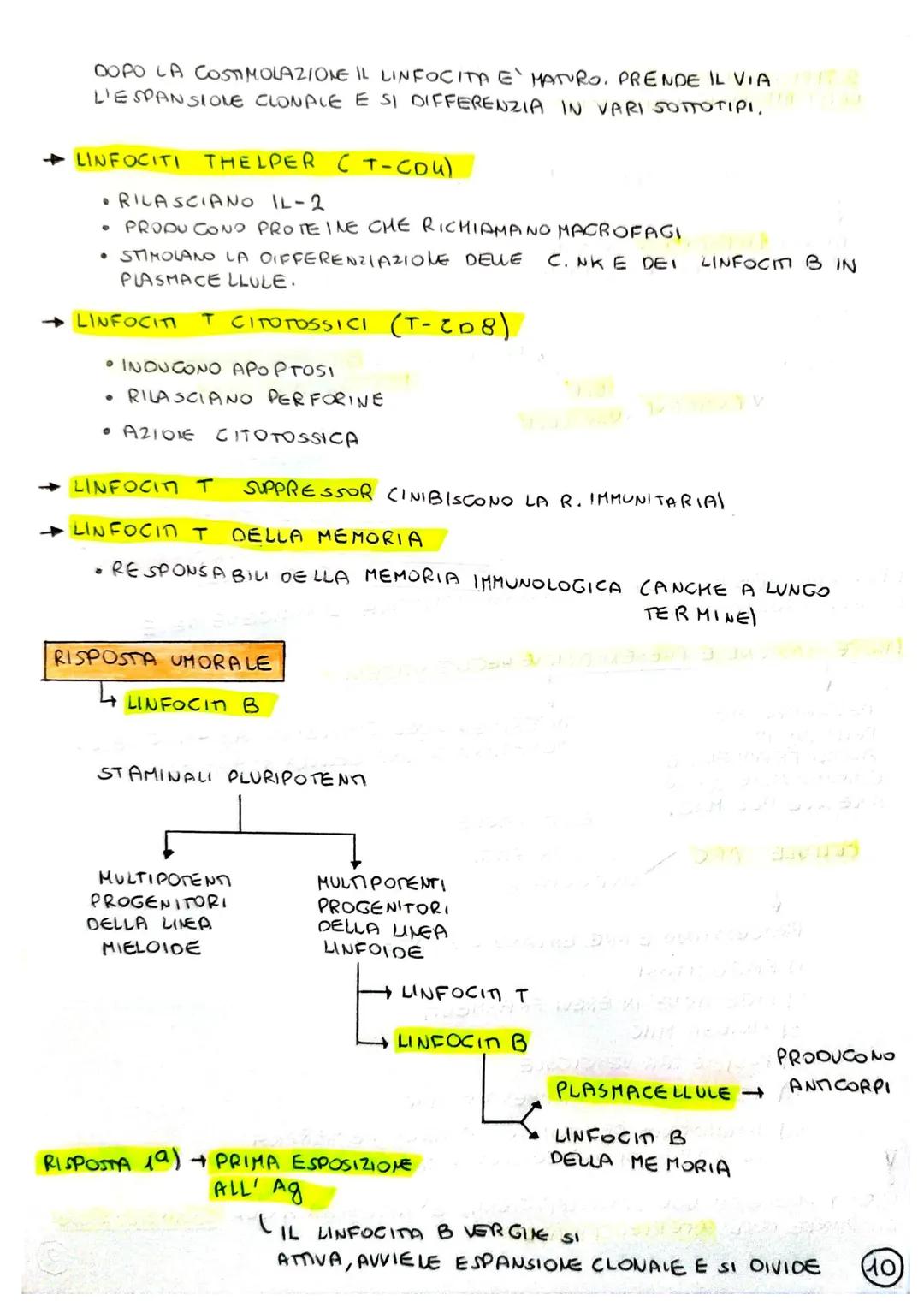 SISTEMA LINFATICO E IMMUNITARIO
1) INTRODUZIONE: IMMUNITA
IL SISTEMA LINFATICO E IL SISTEMA IMMUNITARIO CONTRIBUISCONO ALL'OMEOSTASI
(STABIL