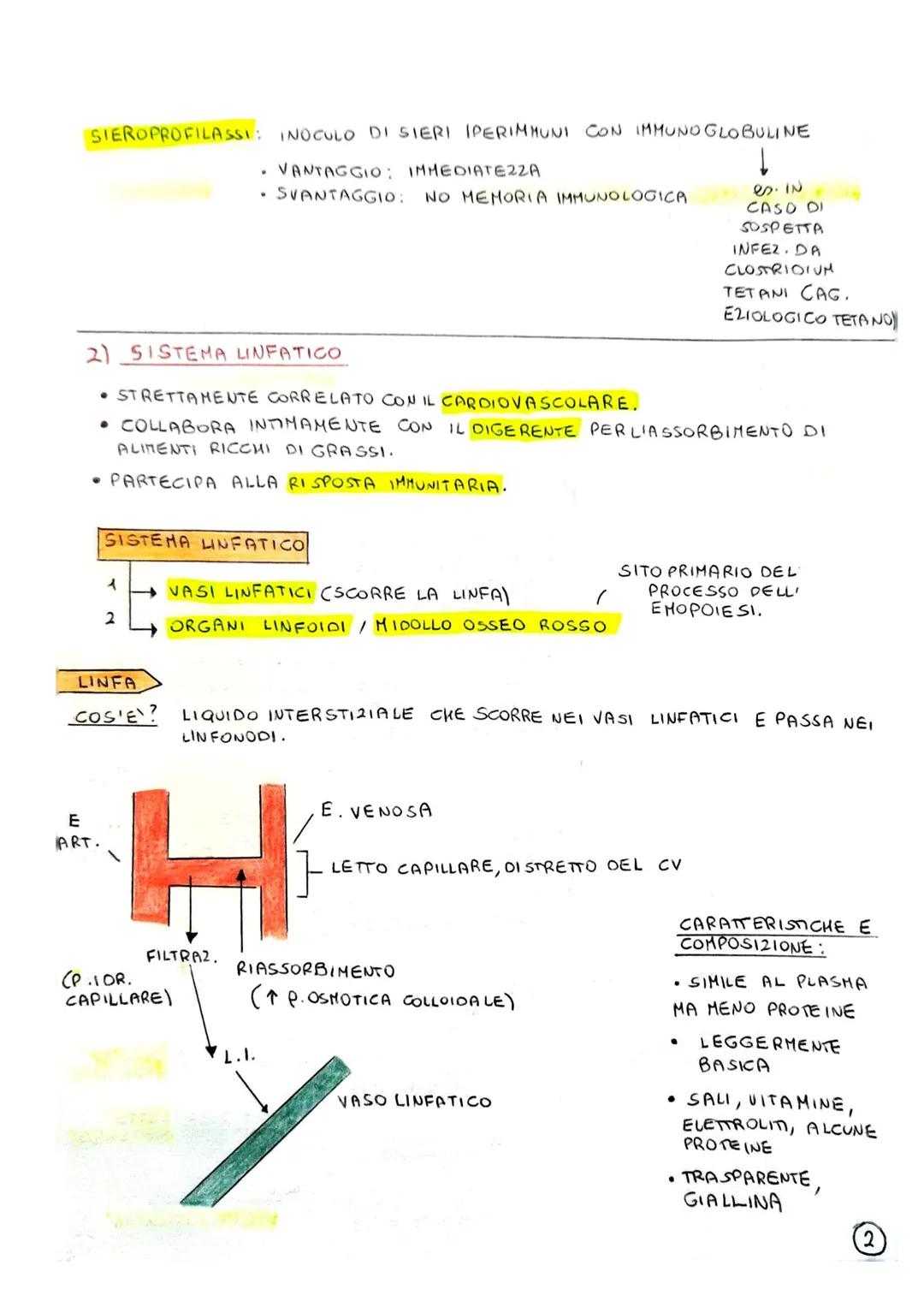 SISTEMA LINFATICO E IMMUNITARIO
1) INTRODUZIONE: IMMUNITA
IL SISTEMA LINFATICO E IL SISTEMA IMMUNITARIO CONTRIBUISCONO ALL'OMEOSTASI
(STABIL