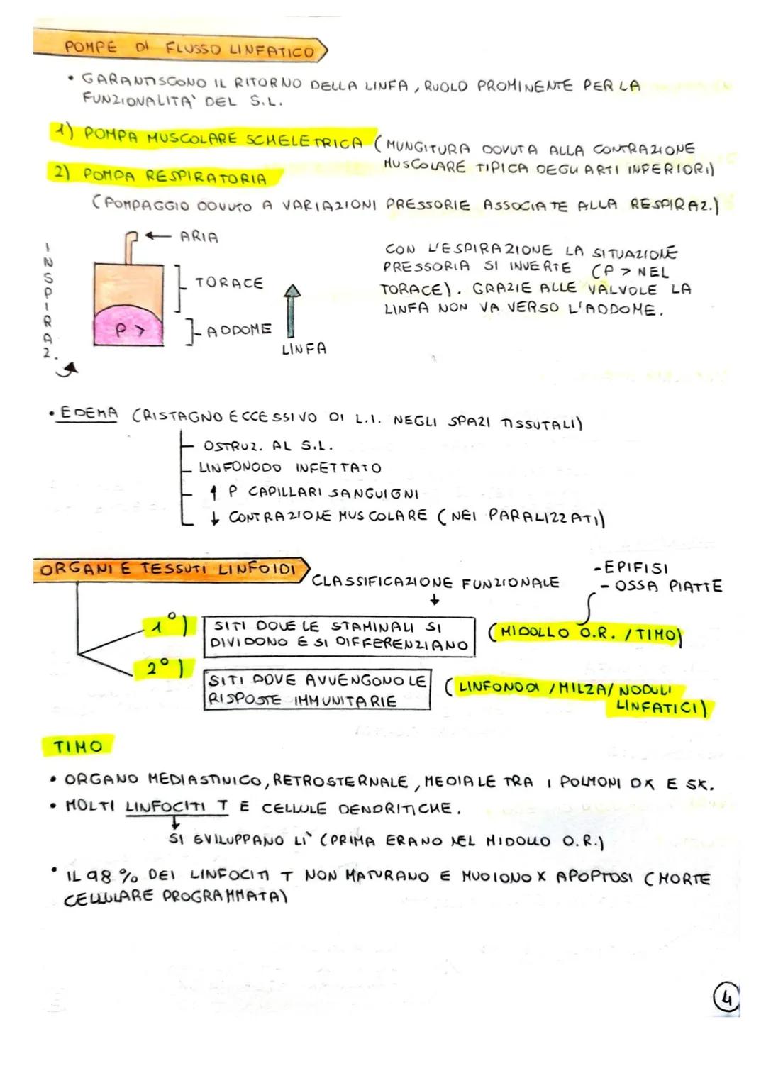 SISTEMA LINFATICO E IMMUNITARIO
1) INTRODUZIONE: IMMUNITA
IL SISTEMA LINFATICO E IL SISTEMA IMMUNITARIO CONTRIBUISCONO ALL'OMEOSTASI
(STABIL