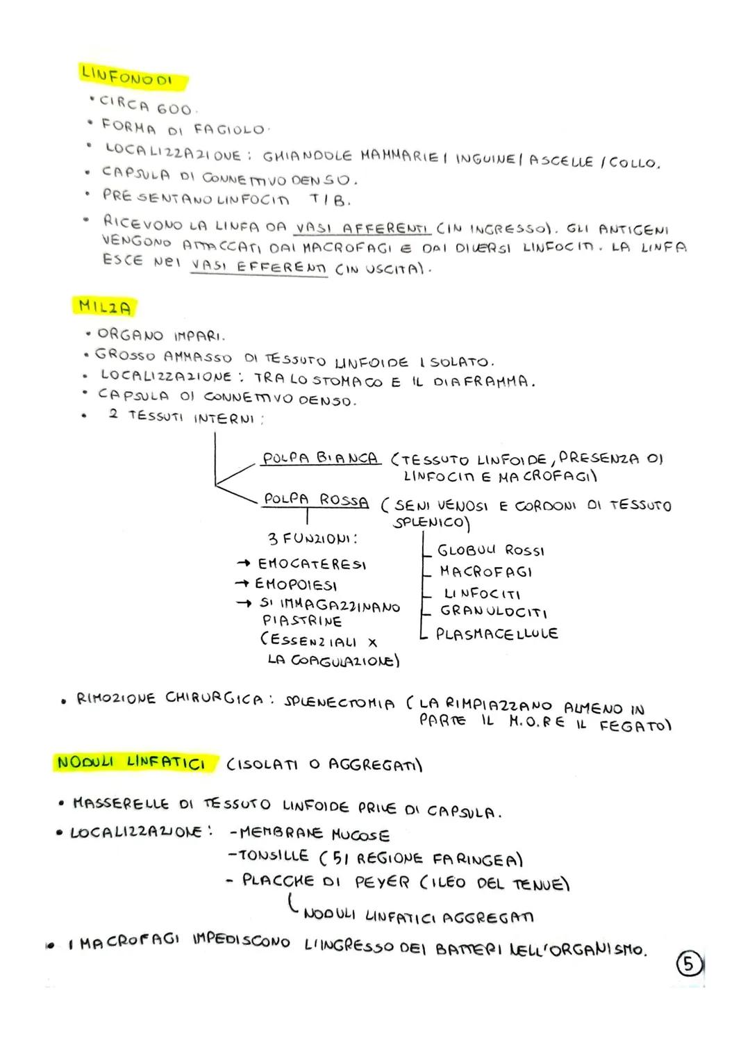 SISTEMA LINFATICO E IMMUNITARIO
1) INTRODUZIONE: IMMUNITA
IL SISTEMA LINFATICO E IL SISTEMA IMMUNITARIO CONTRIBUISCONO ALL'OMEOSTASI
(STABIL
