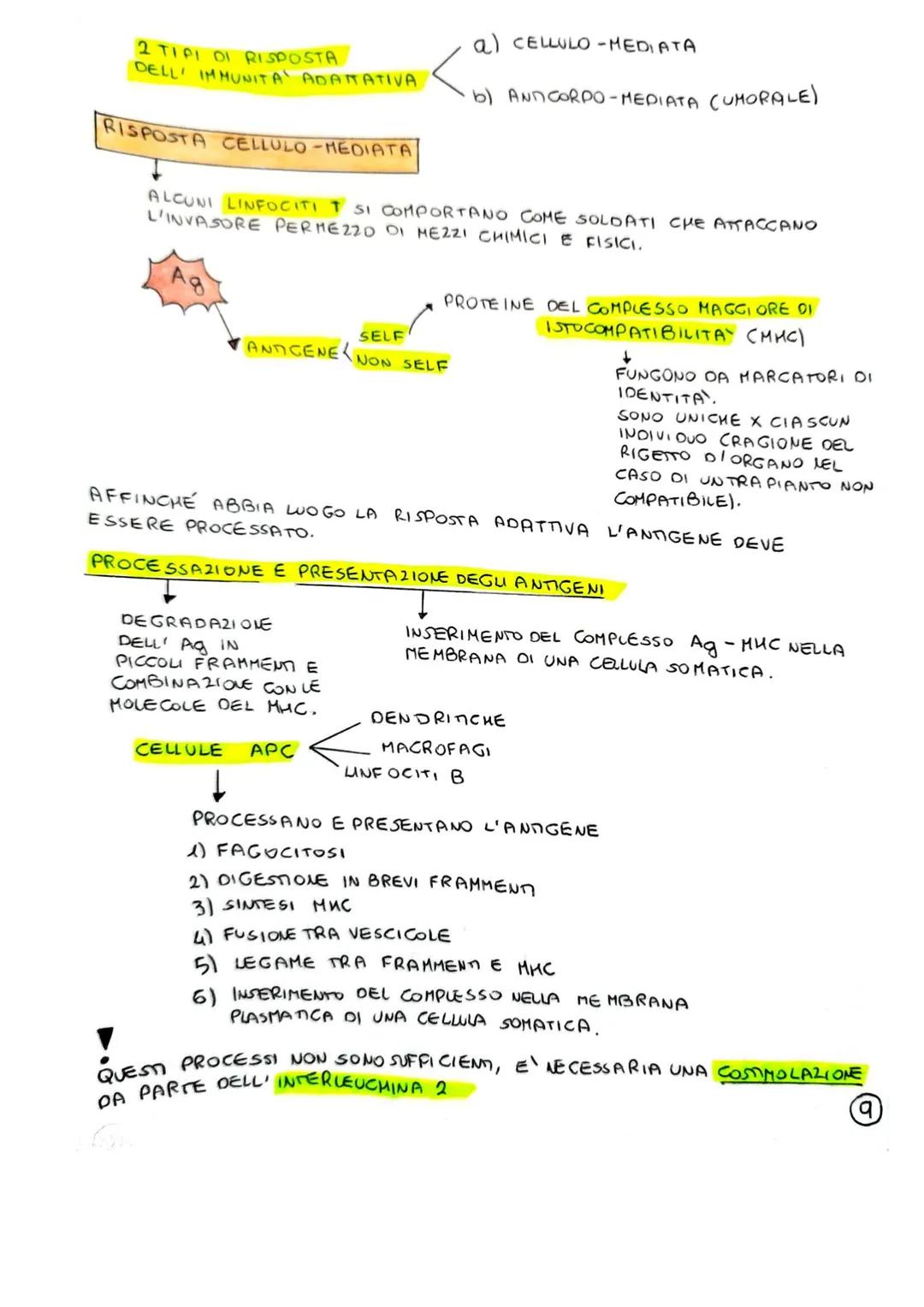 SISTEMA LINFATICO E IMMUNITARIO
1) INTRODUZIONE: IMMUNITA
IL SISTEMA LINFATICO E IL SISTEMA IMMUNITARIO CONTRIBUISCONO ALL'OMEOSTASI
(STABIL